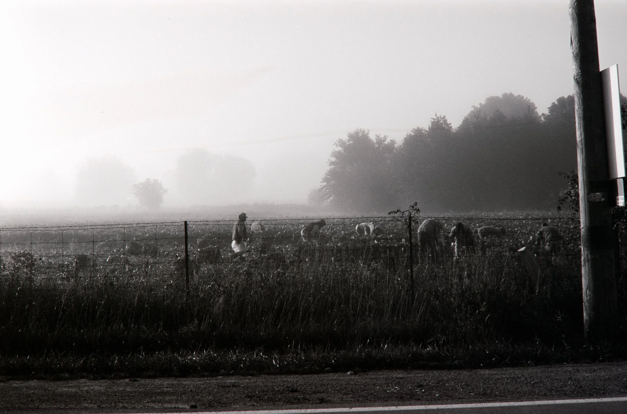 _MG_9846.jpg