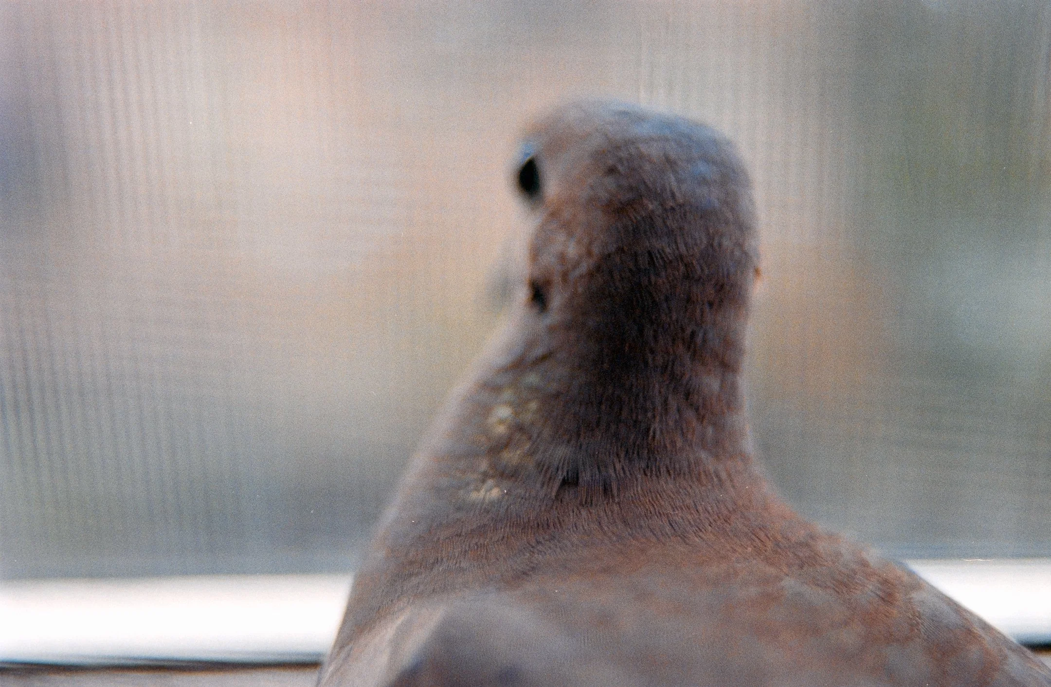 DSCF8842.jpg