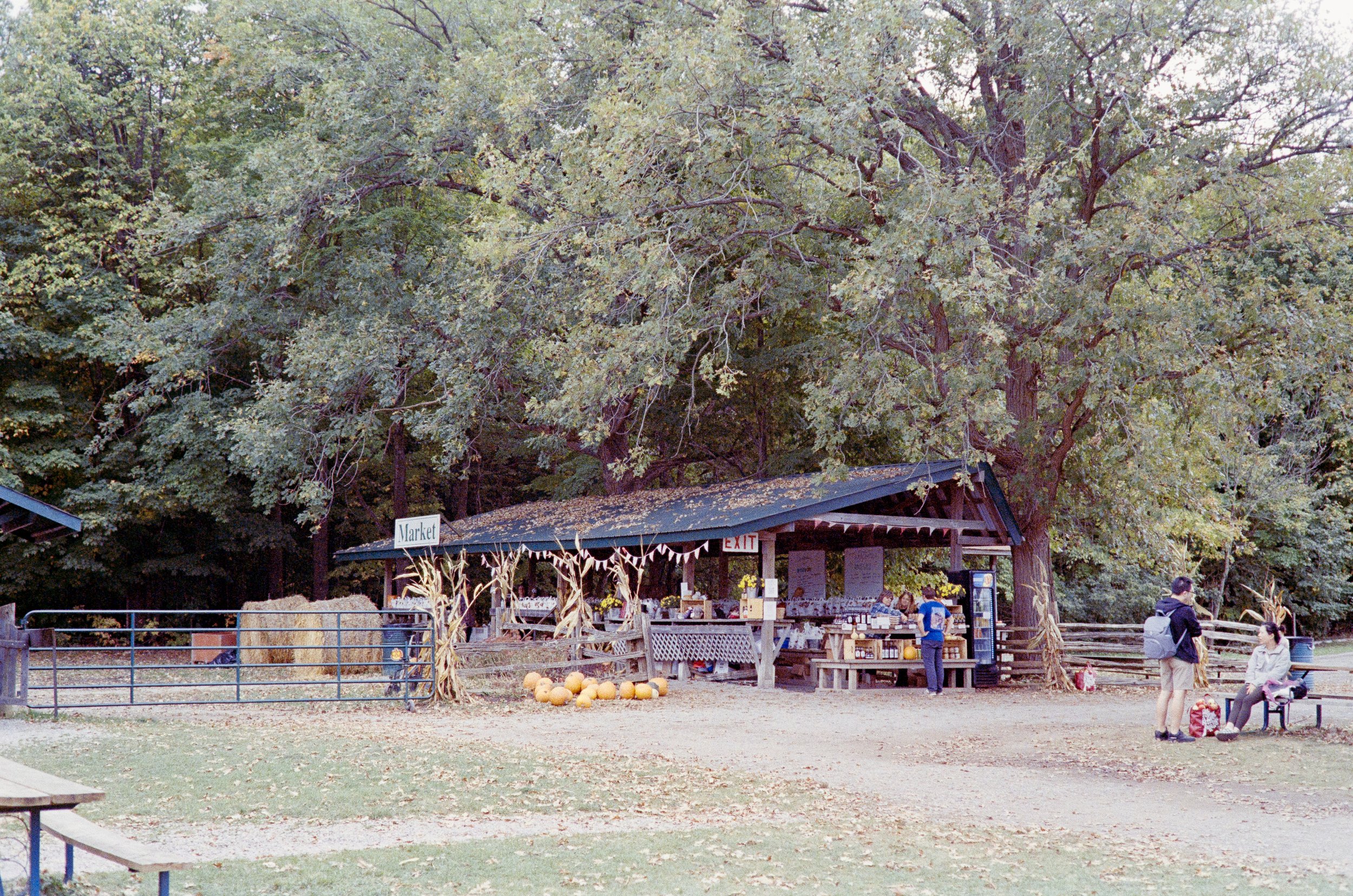 _MG_6639.jpg
