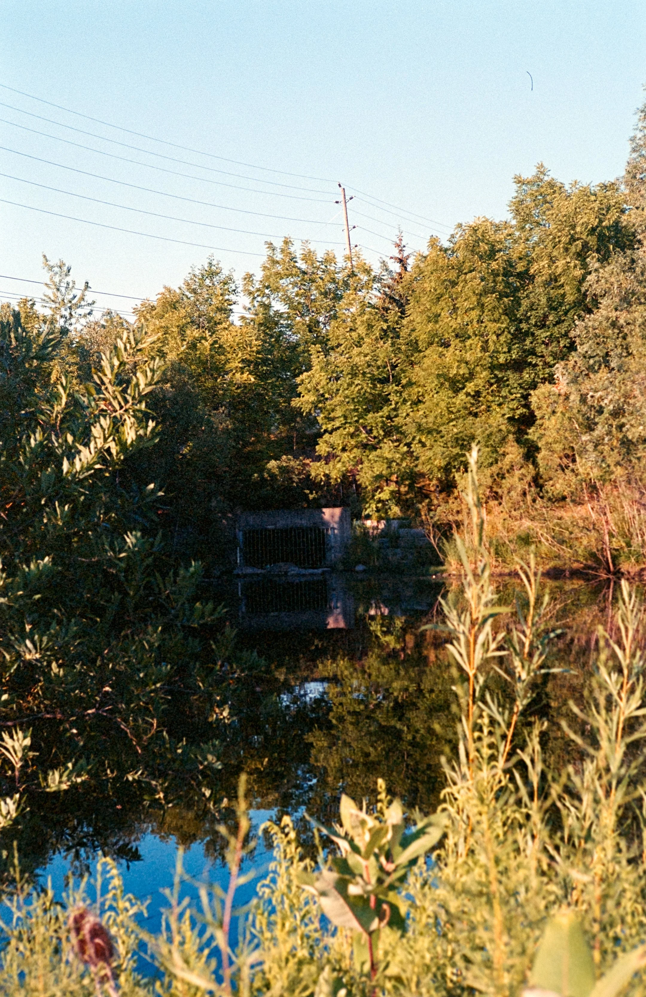Konica Centuria 400