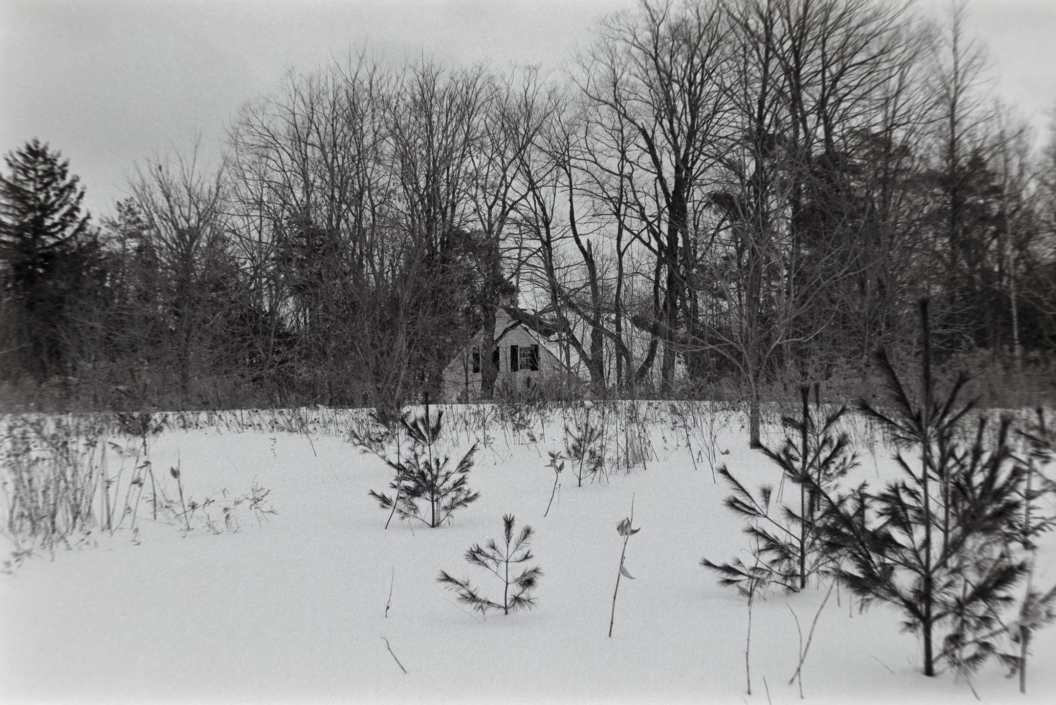 DSCF7110.jpg