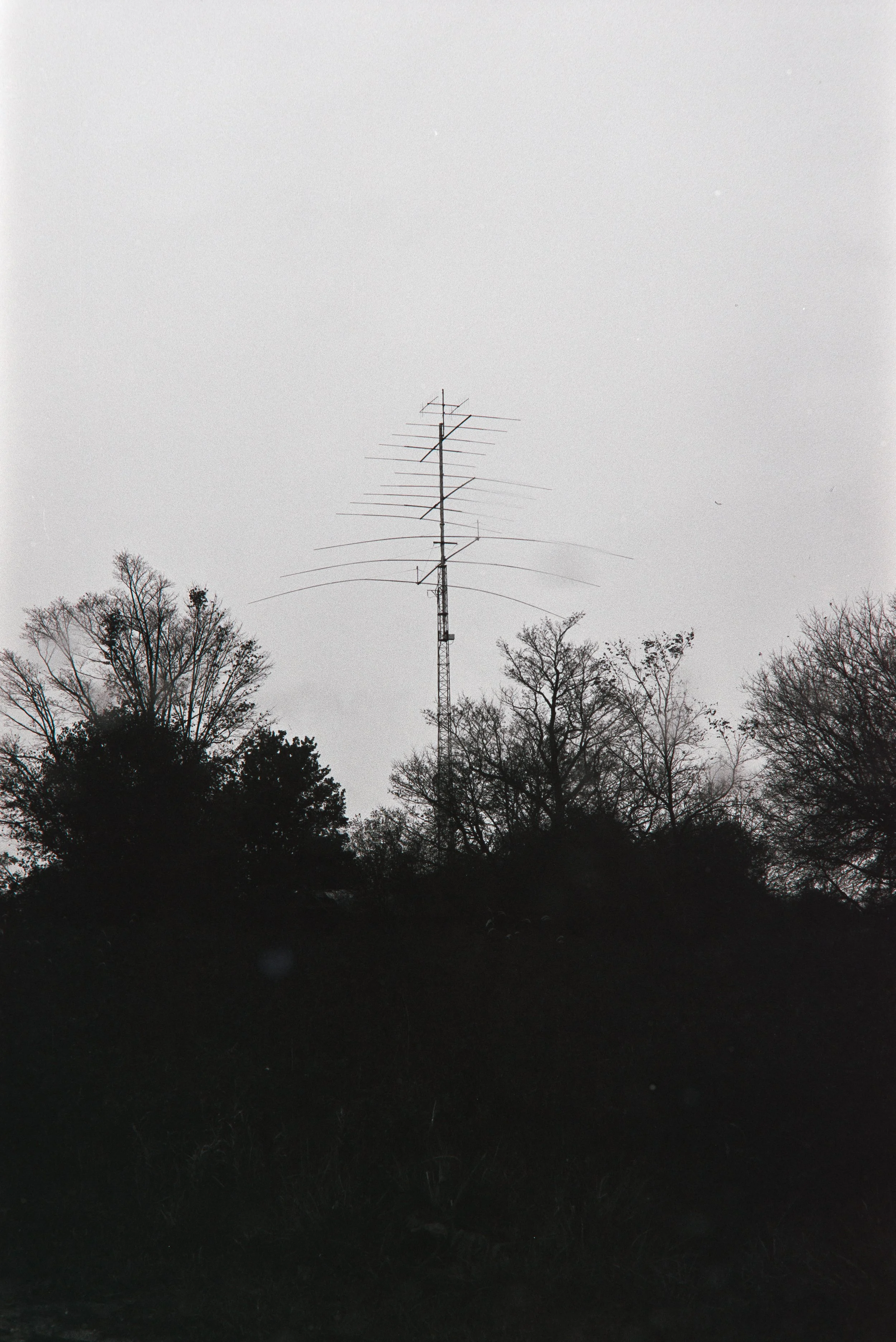 _MG_9854.jpg
