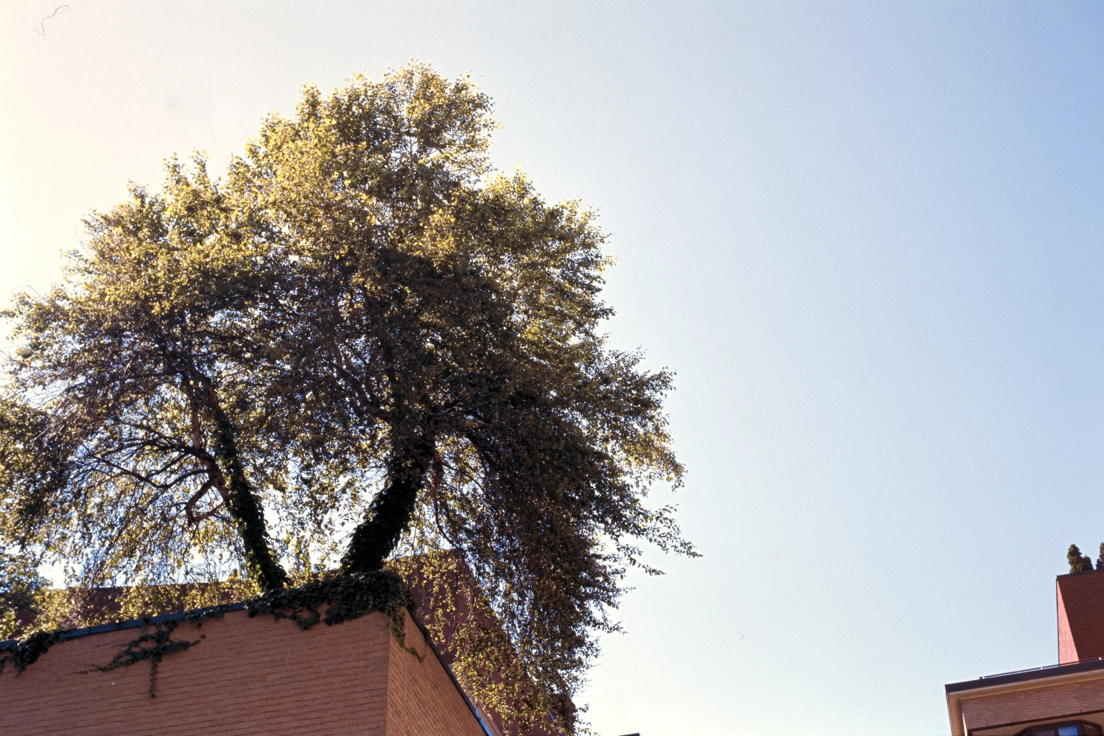 DSCF0296.jpg