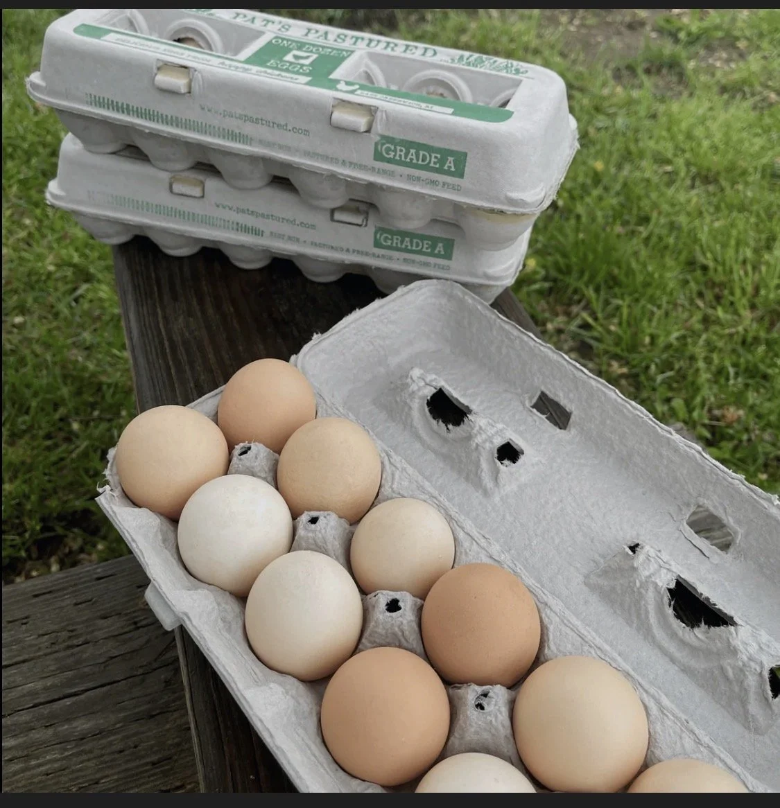Pastureized Eggs
