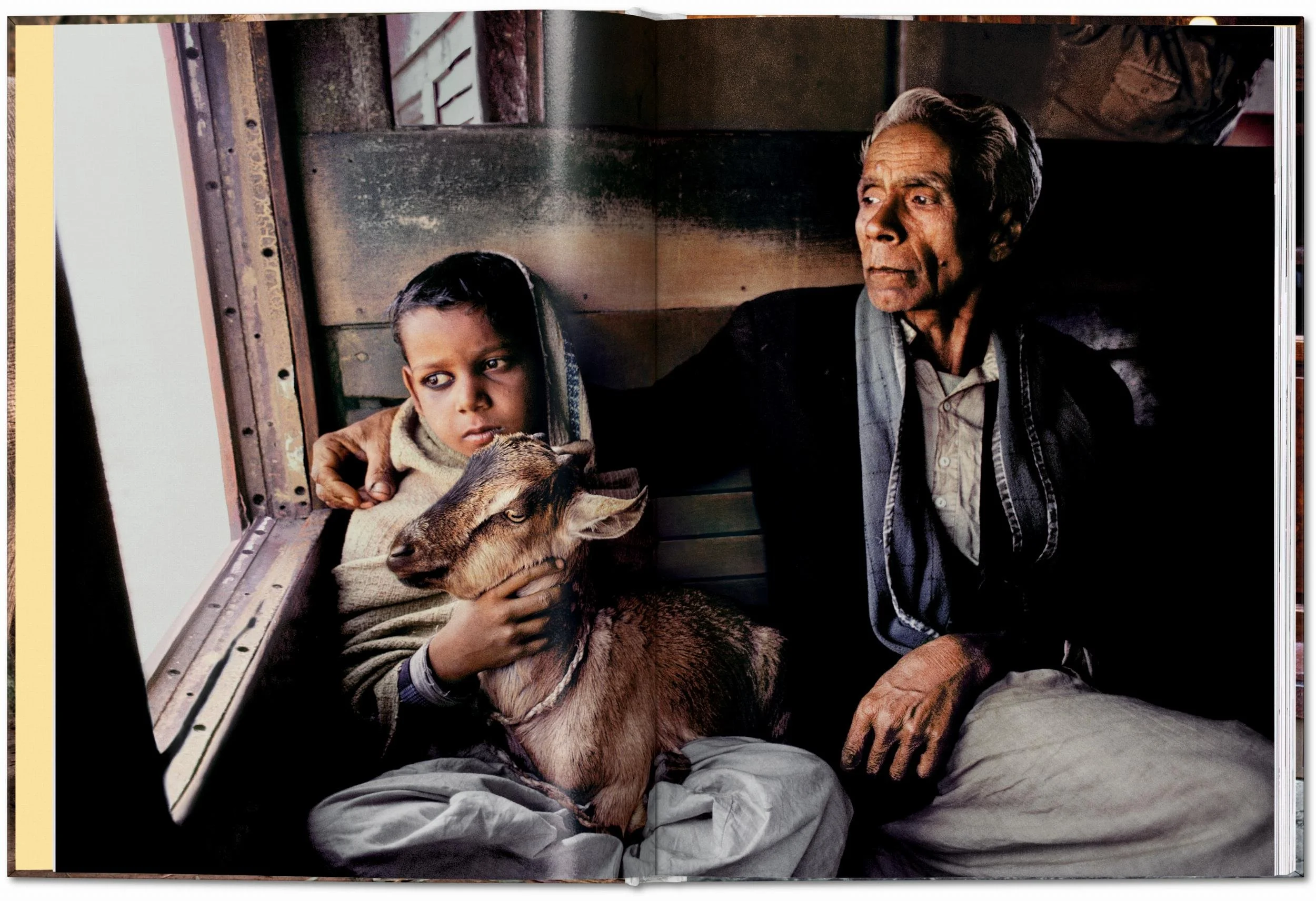 MCCURRY_ANIMALS_PO_GB_OPEN001_004_005_44061.jpg