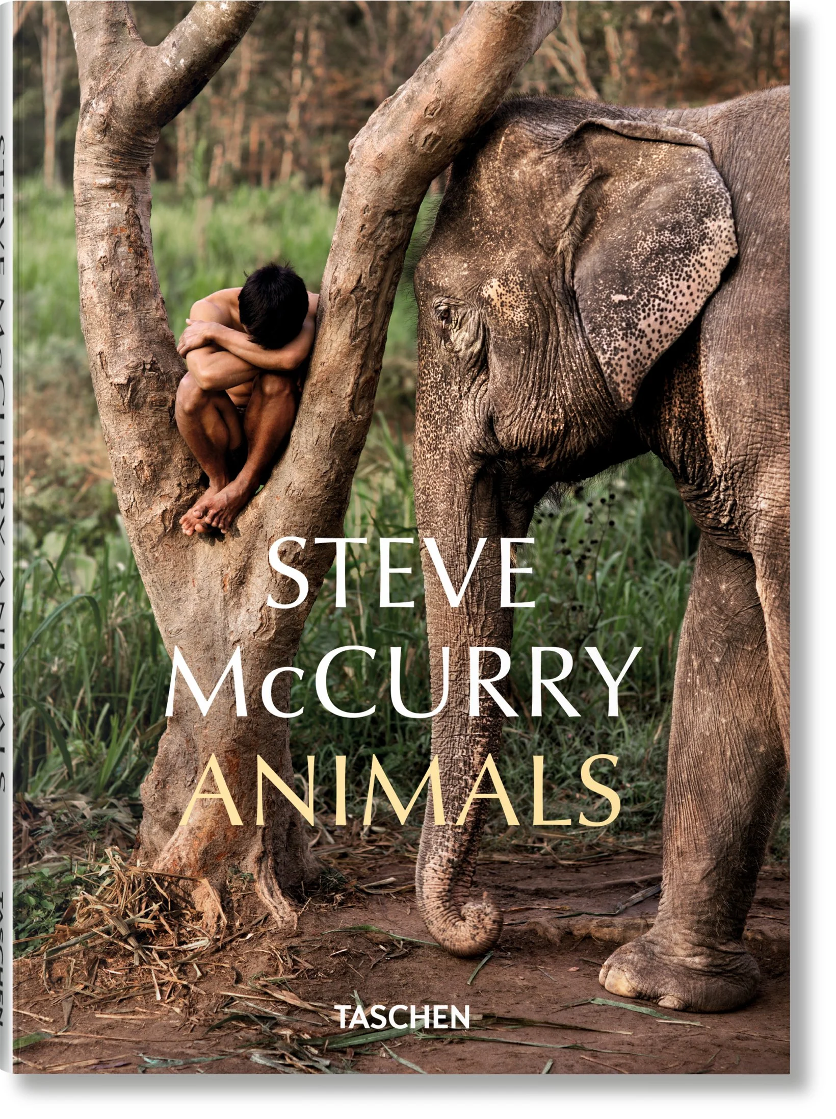 Steve McCurry: Animals