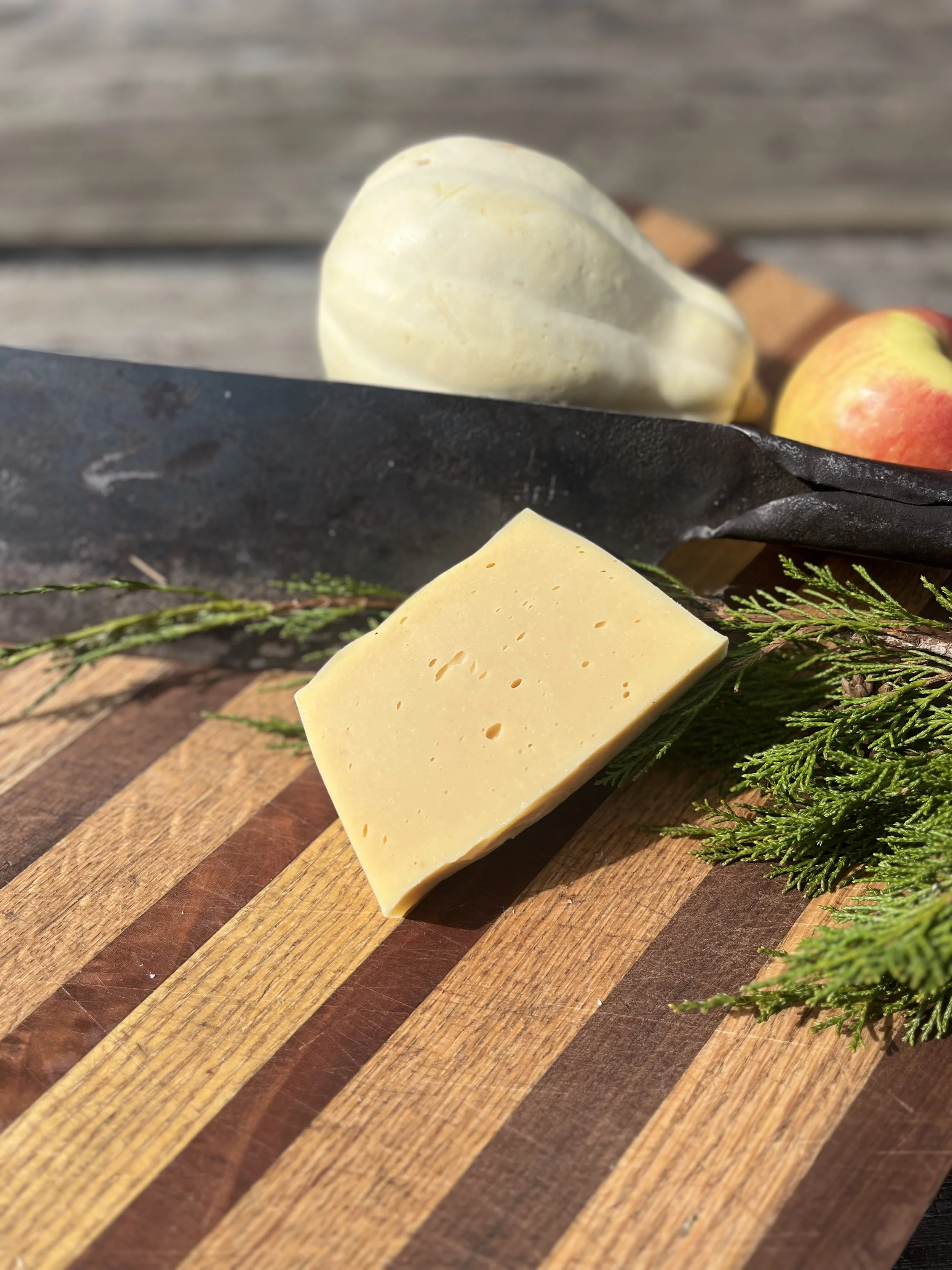 Sea Buckthorn, Castor Oil & Lard Bar