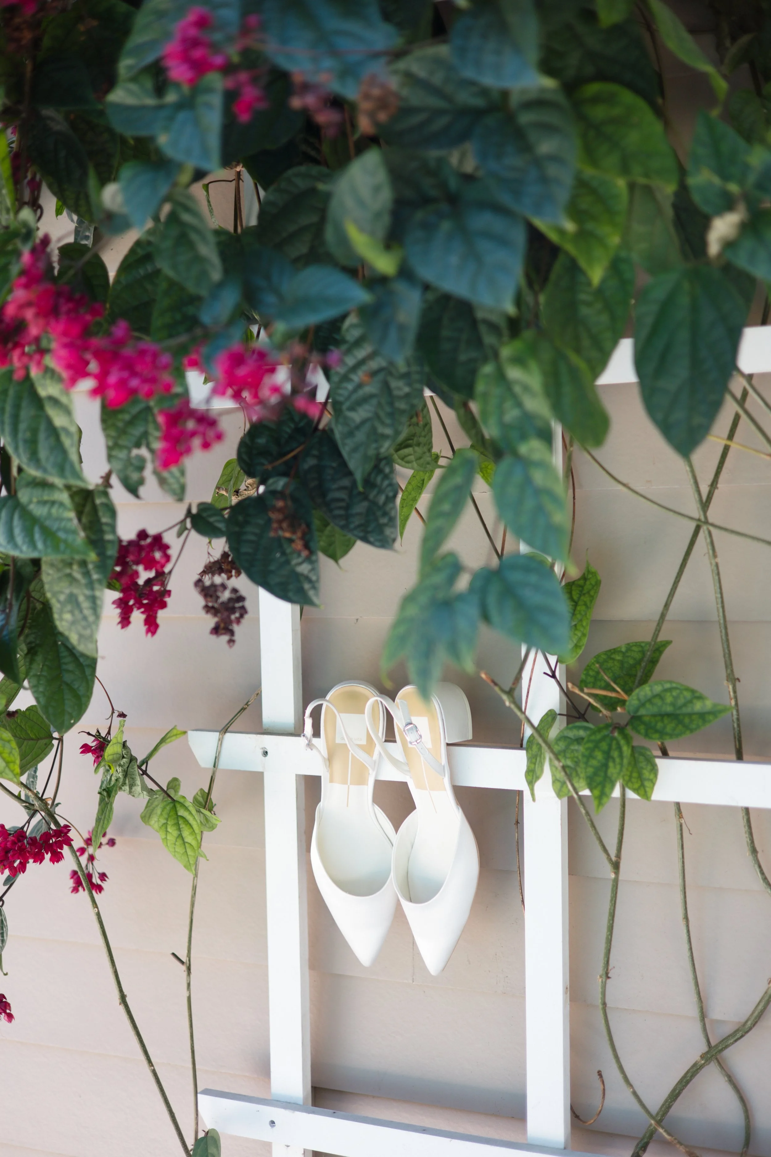 White decorative shoes hanging on a white garden trellis, surrounded by green leaves and pink flowers.