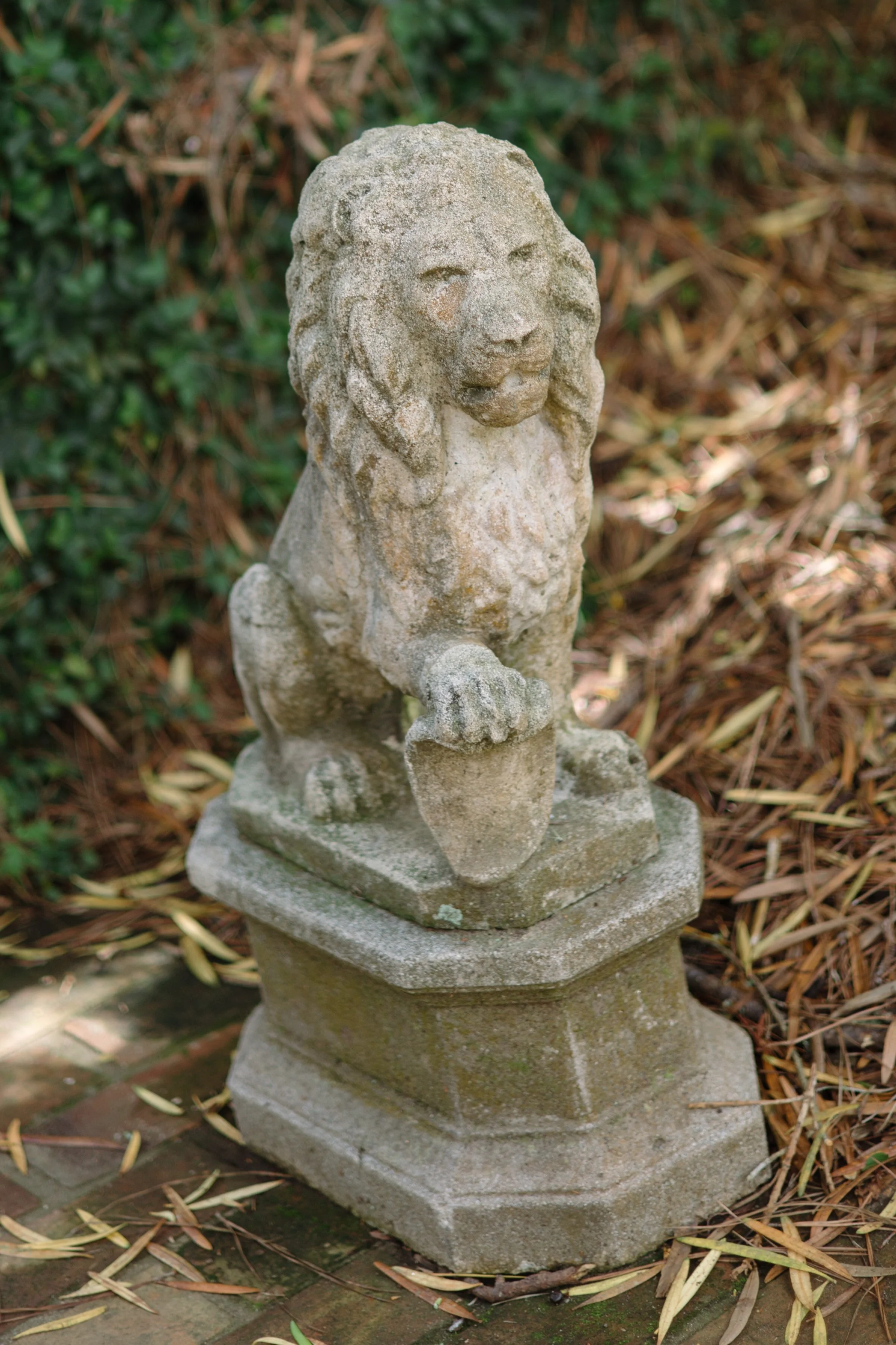 FS1A0389.jpg