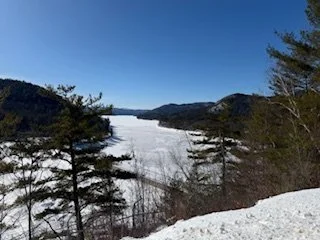 Snow-covered landscape with trees and hills under a clear blue sky.