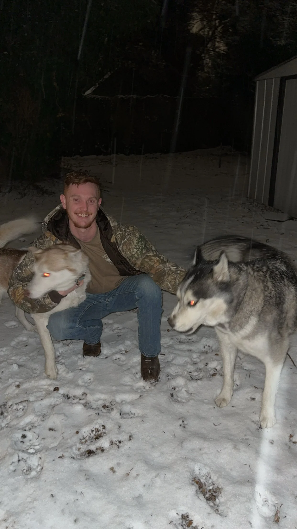 A man kneeling in the snow at night, holding two huskies, with a snowy backyard and shed in the background.