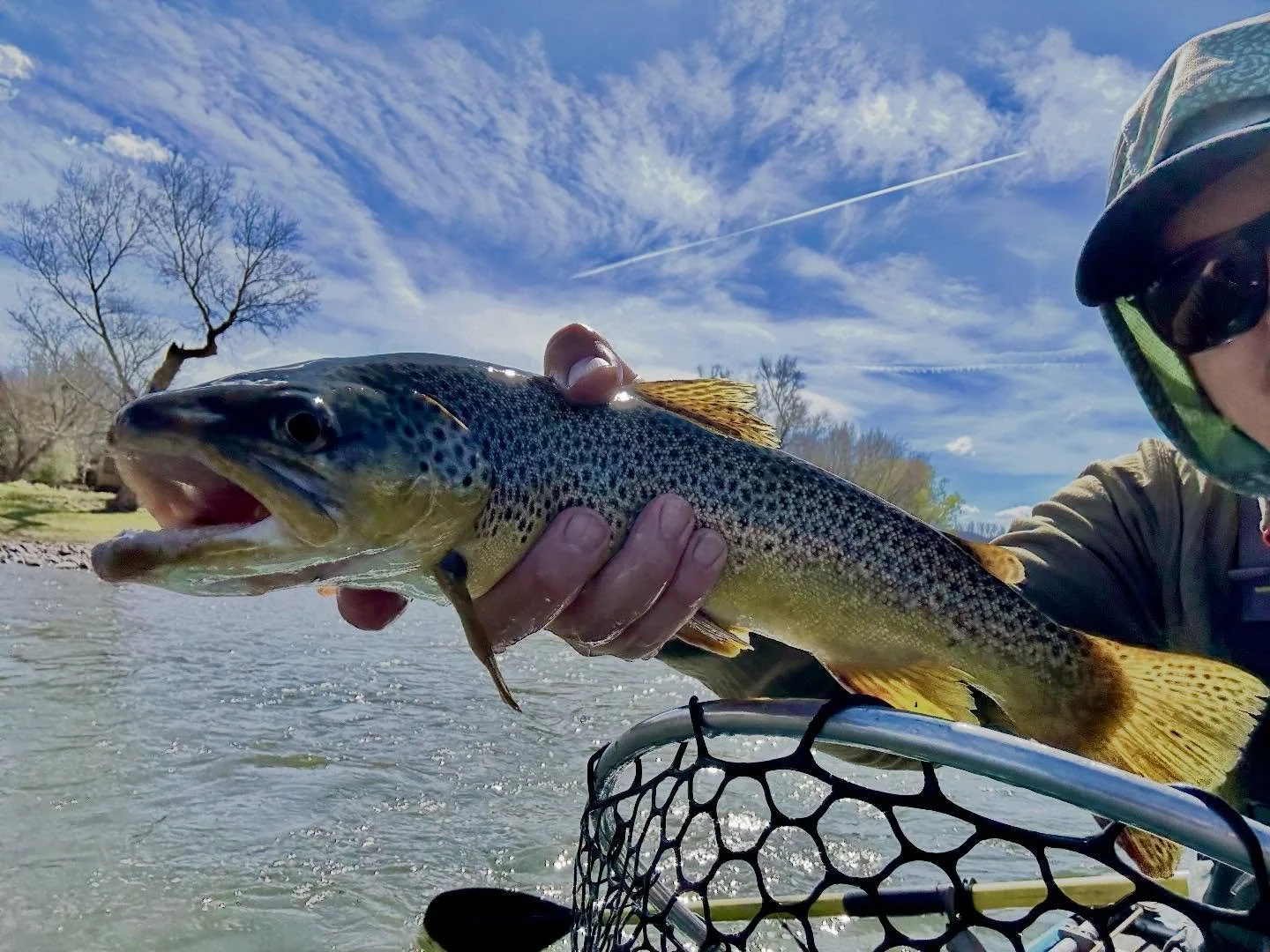 Streamer city!  Black was the ticket, lots of follows and a few fully committed.  Good to get back on the sticks too.  #floatfish #rowrowrowyourboat #browntroutfishing #herefishyfishy🐟 #murrayguides