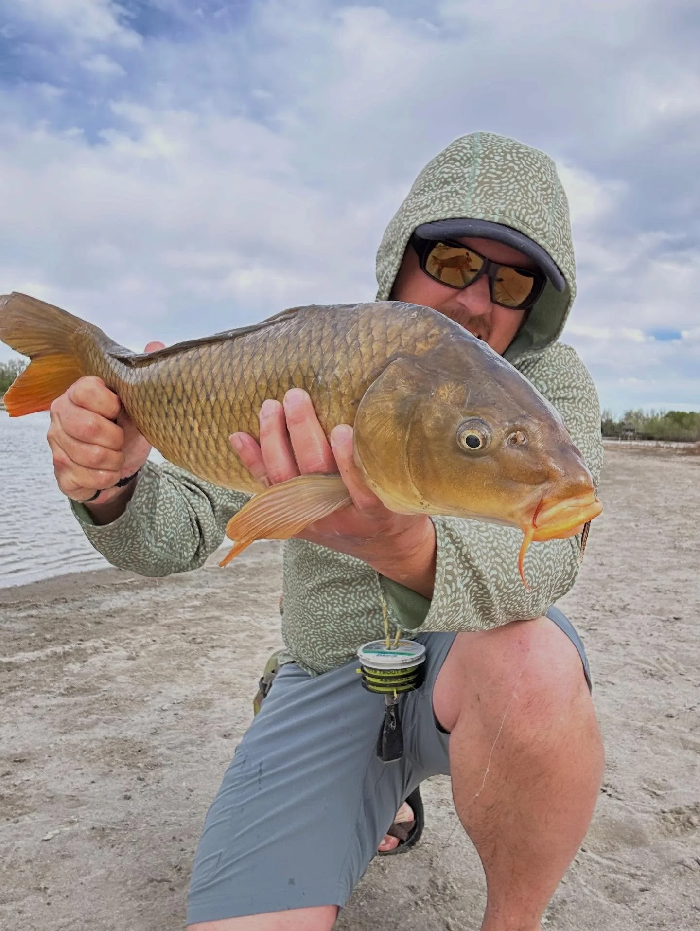 I love chasing Carp.  The wind, overcast skies, and picky fish just add to the fun #commoncarp🎣 #sightfishing #stalkingcarp #carponthefly #murrayguides