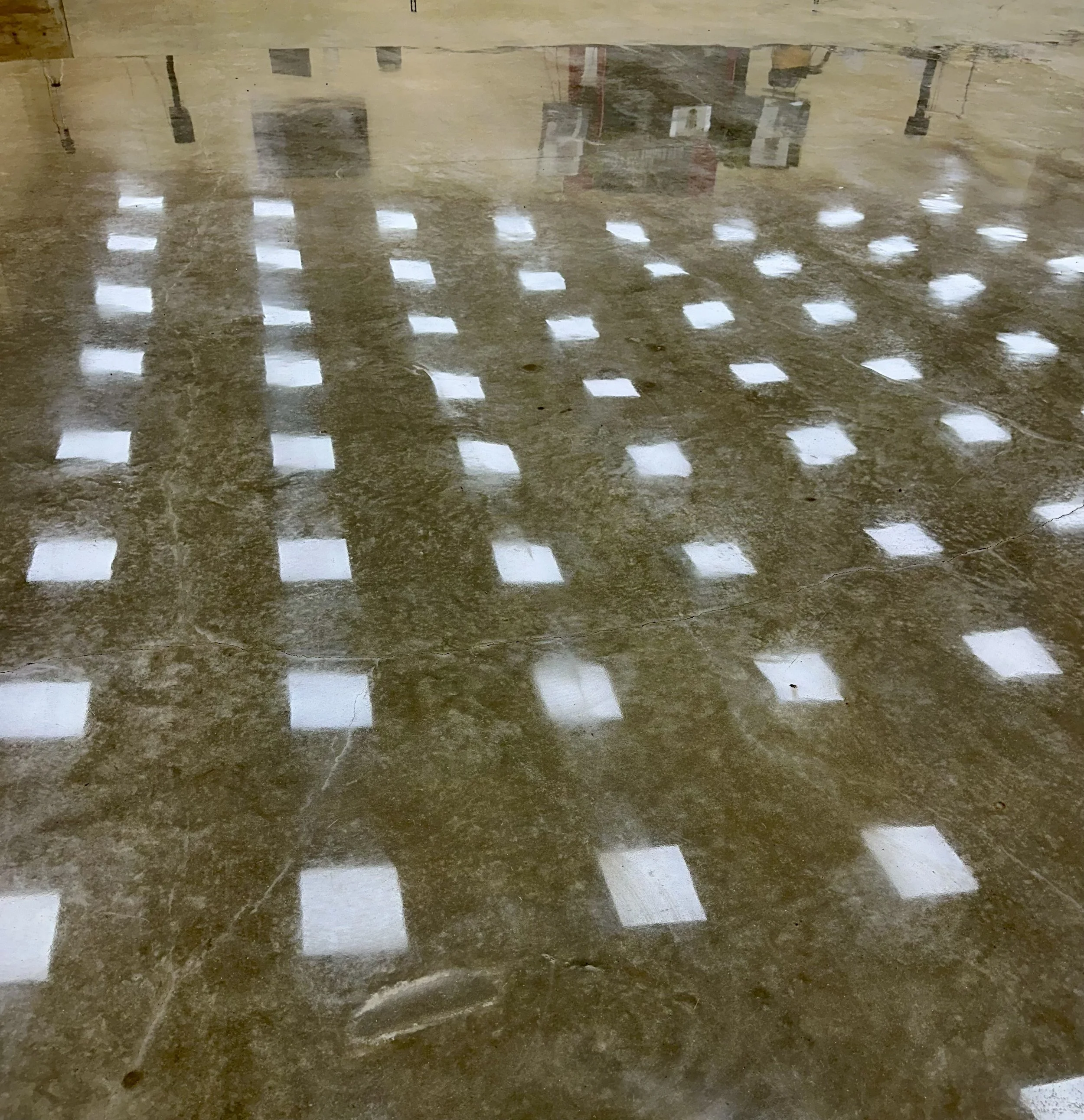 Polished concrete flooring, Denham Springs, LA