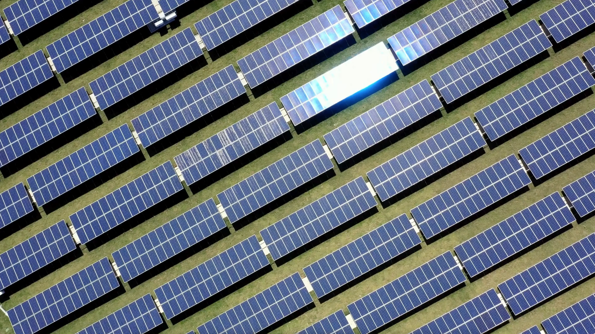 Screenshot 2026-01-22 at 4.00.35 PM.png