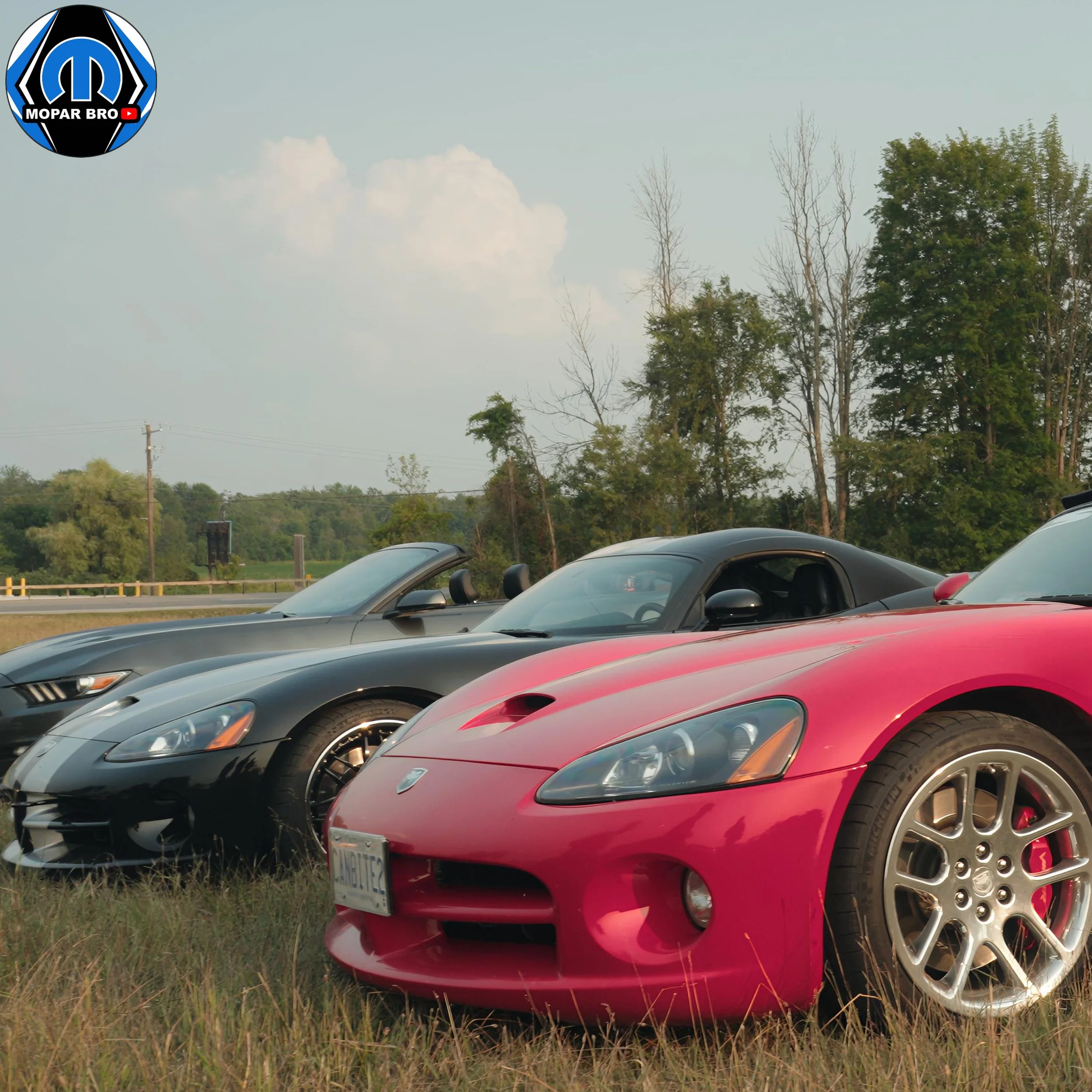 Mint Dodge Viper Rides | Stunning Vipers in Action by Mopar Bro