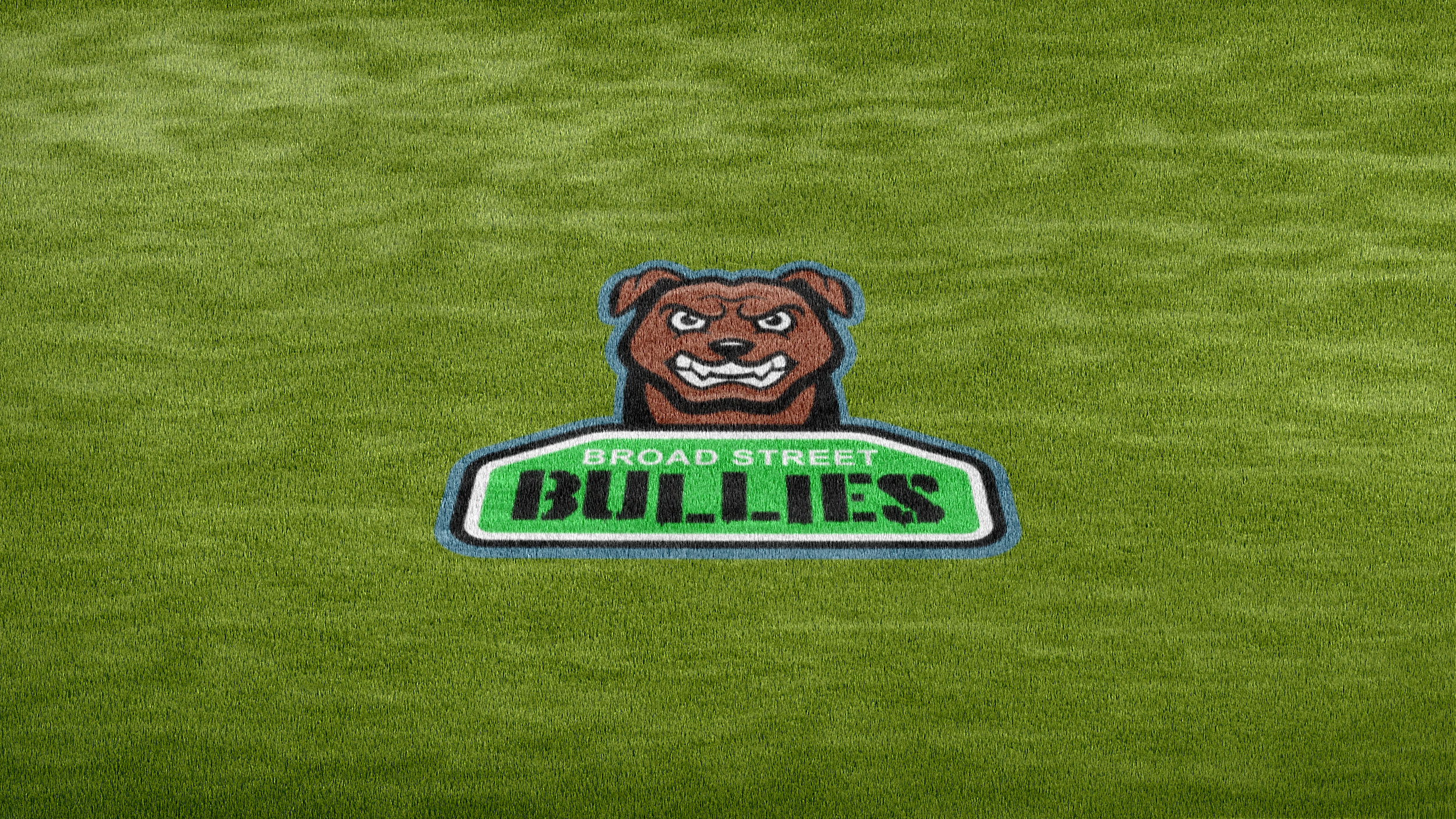 BSB Logo on Baseball Field Grass