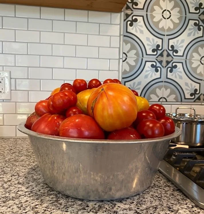 Heirloom Tomato Collection
