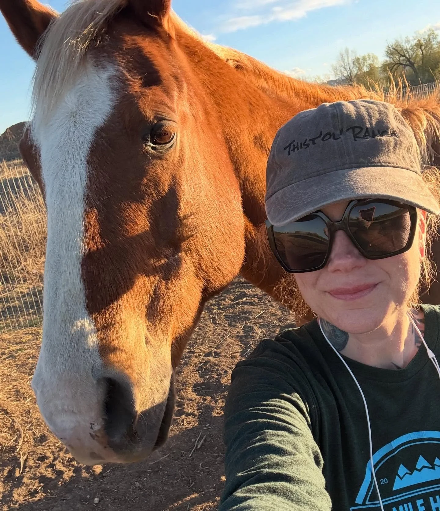 Big boy Mac! As sweet as they come. #thistlefarm #thistolfarm #camdazcofarm