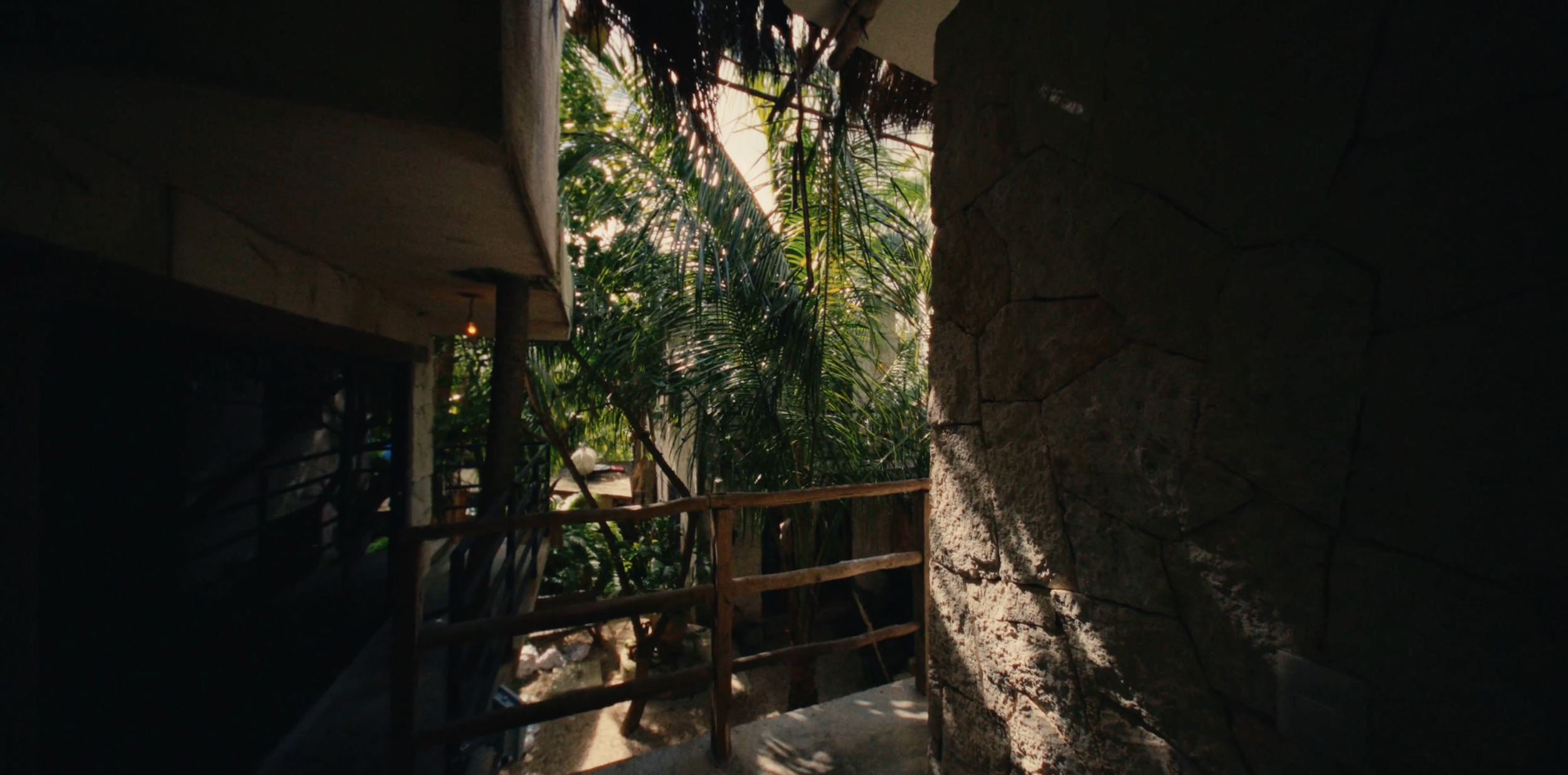 Vista desde una galería de madera con entablado de piedra, rodeada de vegetación tropical, incluyendo palmeras.