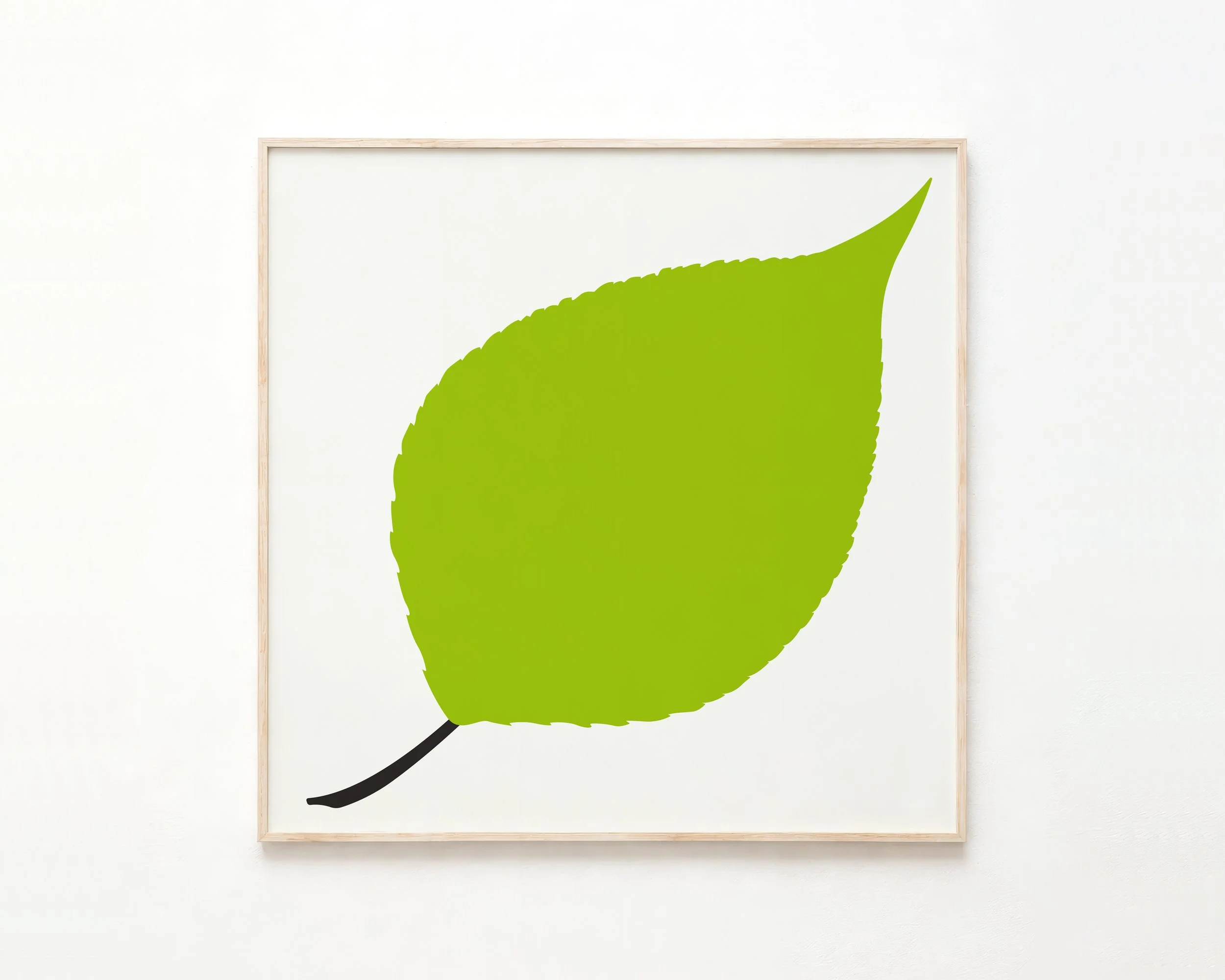 Poplar
