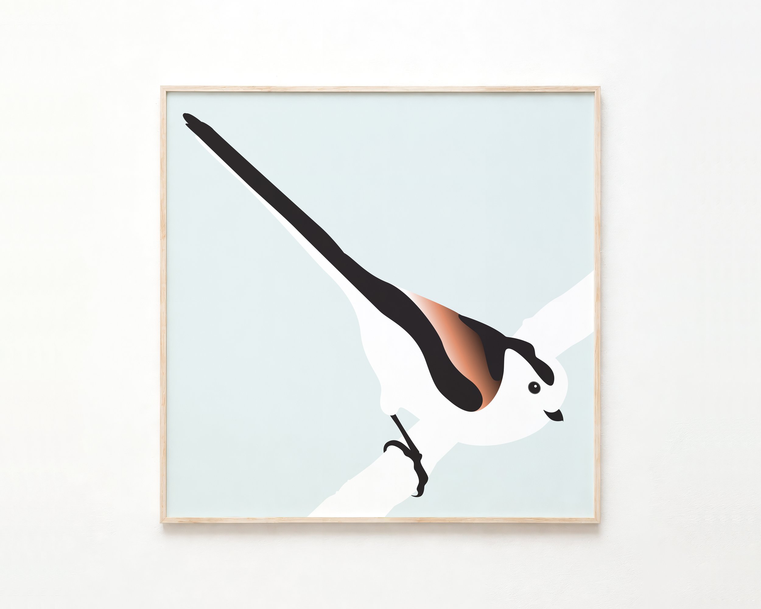 Long Tailed Tit