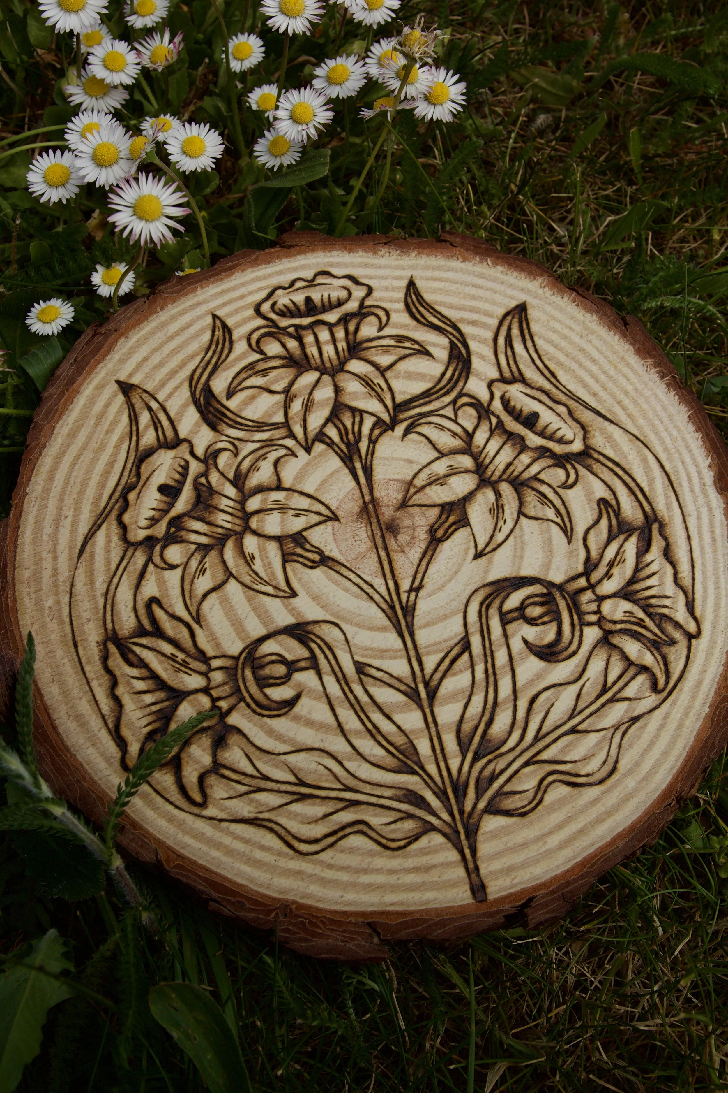 Plaque en bois brut avec des motifs naturels, pyrogravée à la main avec une illustration de jonquilles, fleurs du printemps et symbole de renouveau.