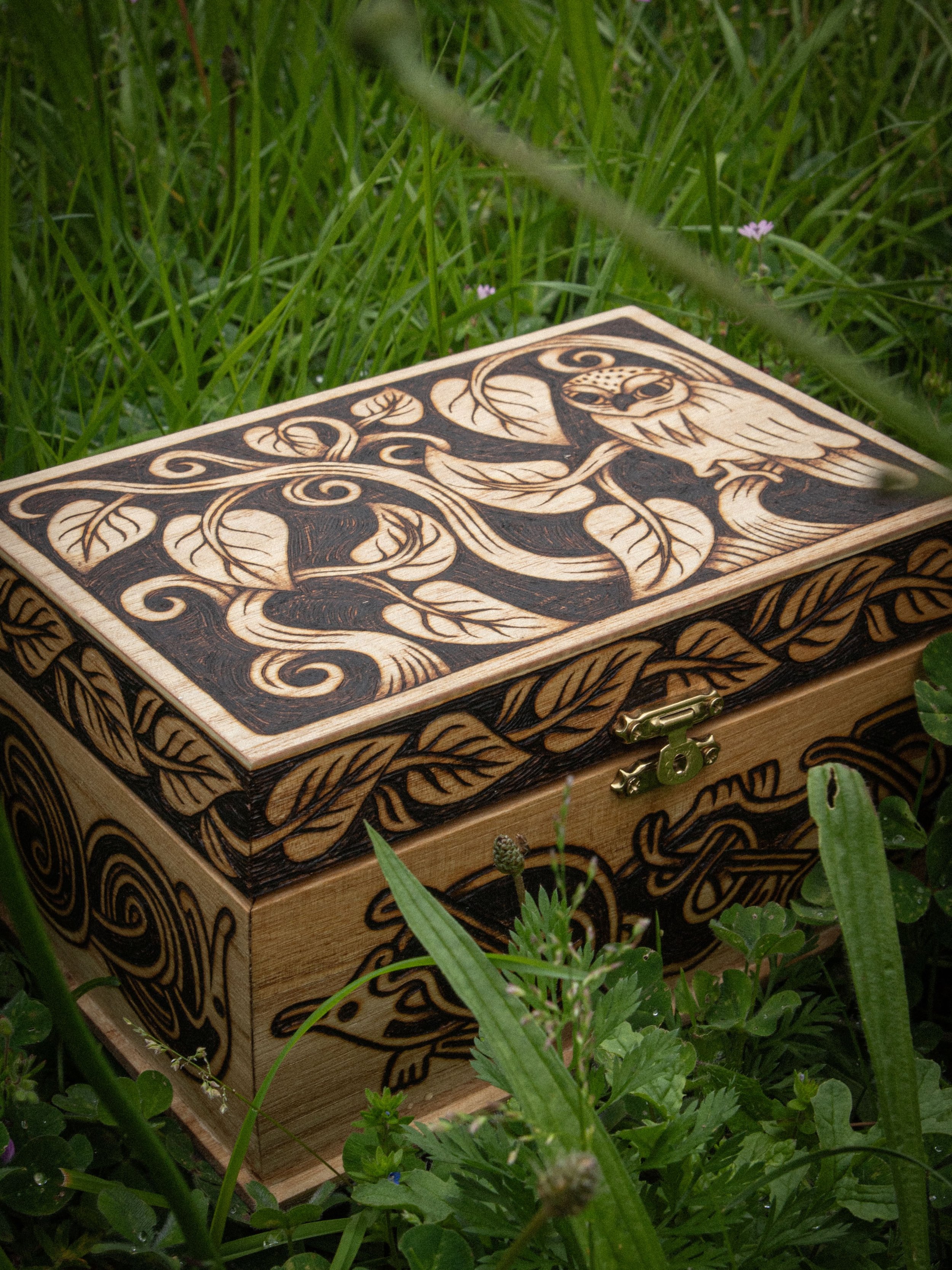Ma bo&icirc;te magique cach&eacute;e dans les herbes ! Qui sait quels secrets elle pourrait renfermer 👀🌿

#pyrogravure #faitmain #medieval #creationartisanale #magienaturelle