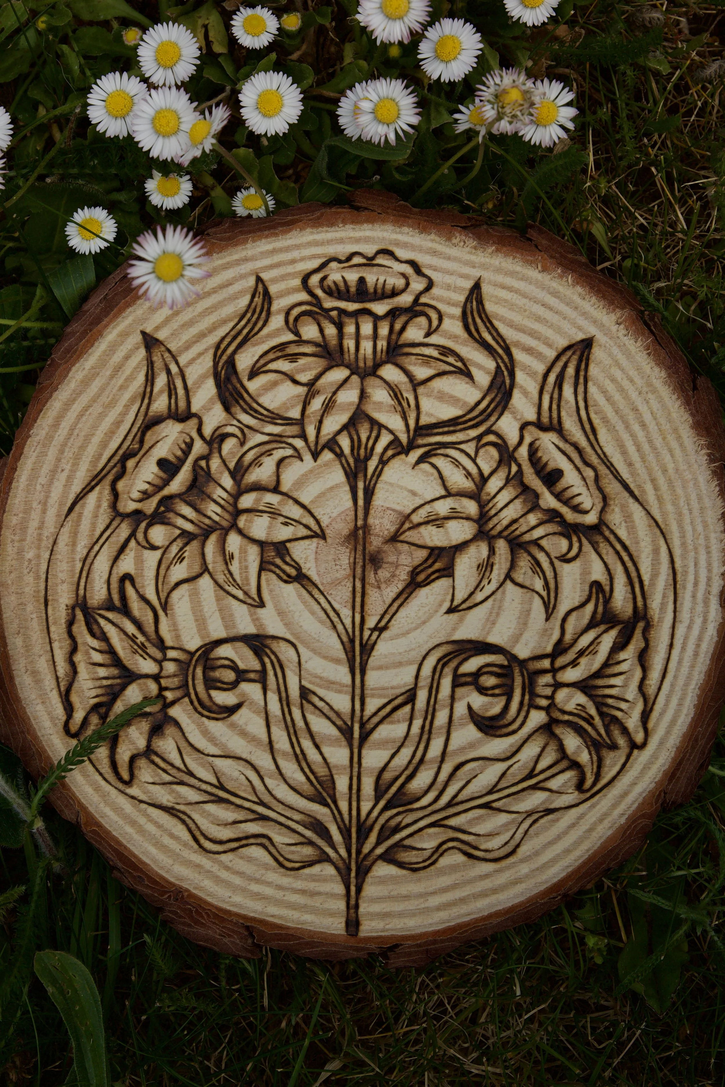 Plaque en bois brut avec des motifs naturels dans un champs de marguerite, pyrogravée à la main avec une illustration de jonquilles, fleurs du printemps et symbole de renouveau.