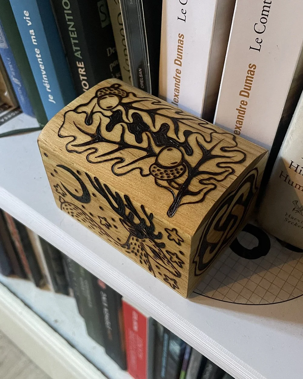 Petite boîte mystique en bois pyrogravée à la main posée dans une bibliothèque avec un motif de cerf majestueux, des nœuds celtiques et des feuilles d'automne.