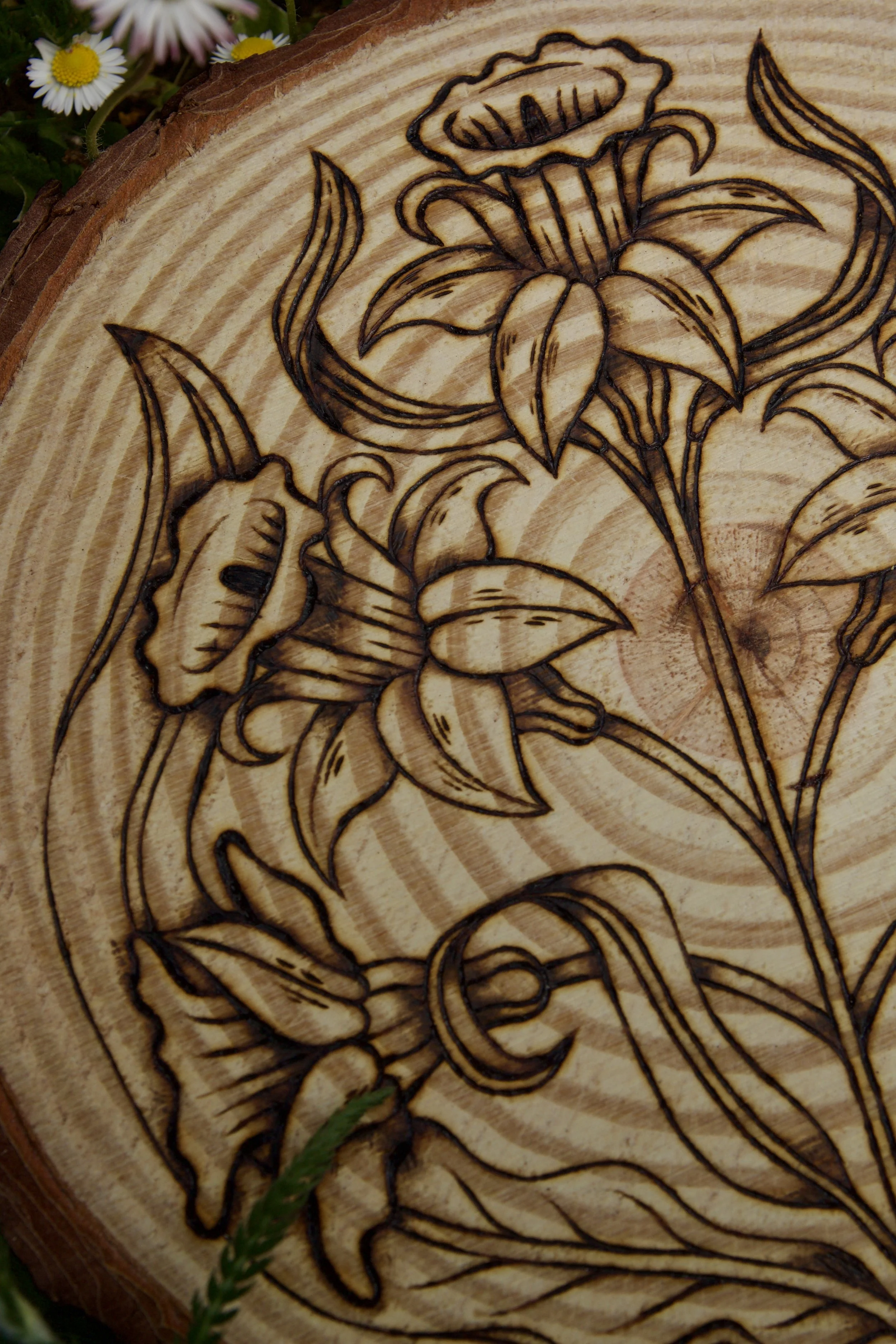 Zoom sur une plaque en bois brut avec des motifs naturels, pyrogravée à la main avec une illustration de jonquilles, fleurs du printemps et symbole de renouveau.