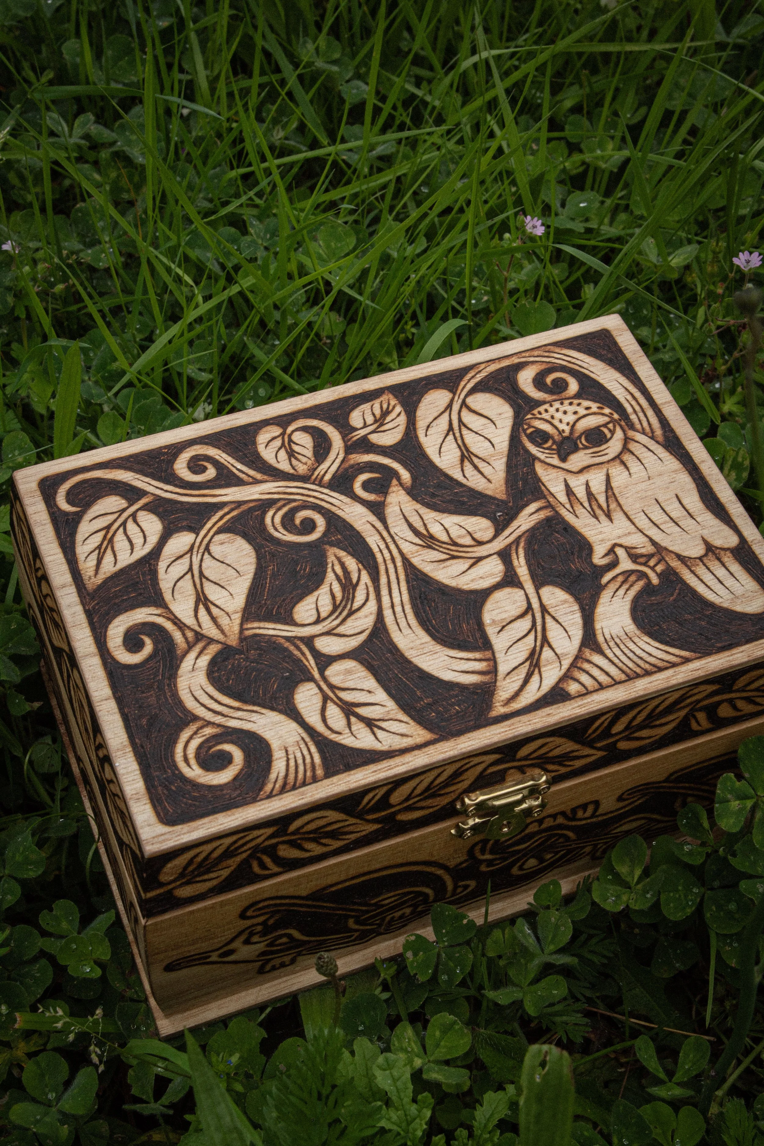 Boîte en bois pyrogravée à la main dans l'herbe représentant un hibou entouré de branches entrelacées et de motifs celtiques.