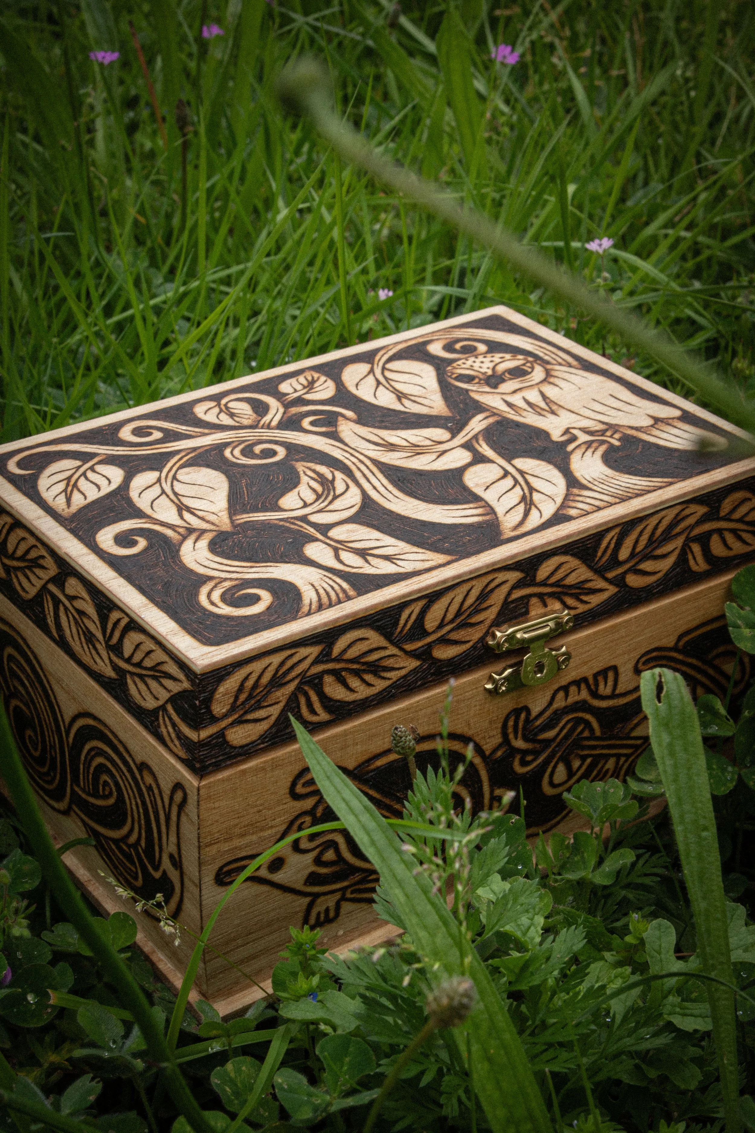 Boîte en bois gravée - Hibou, motifs celtiques et branches entrelacées