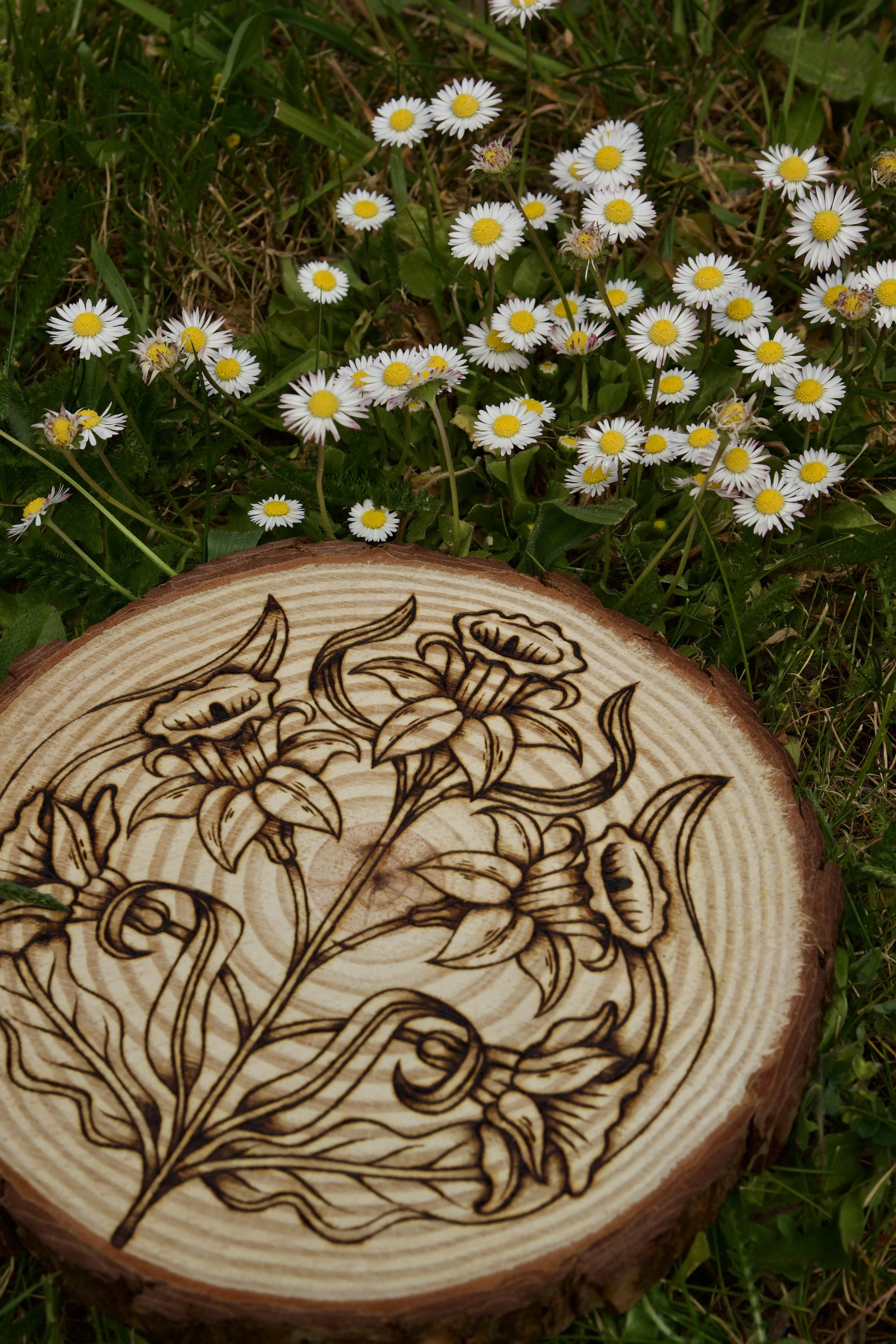 Plaque en bois brut avec des motifs naturels posée dans un champs de fleurs, pyrogravée à la main avec une illustration de jonquilles, fleurs du printemps et symbole de renouveau.