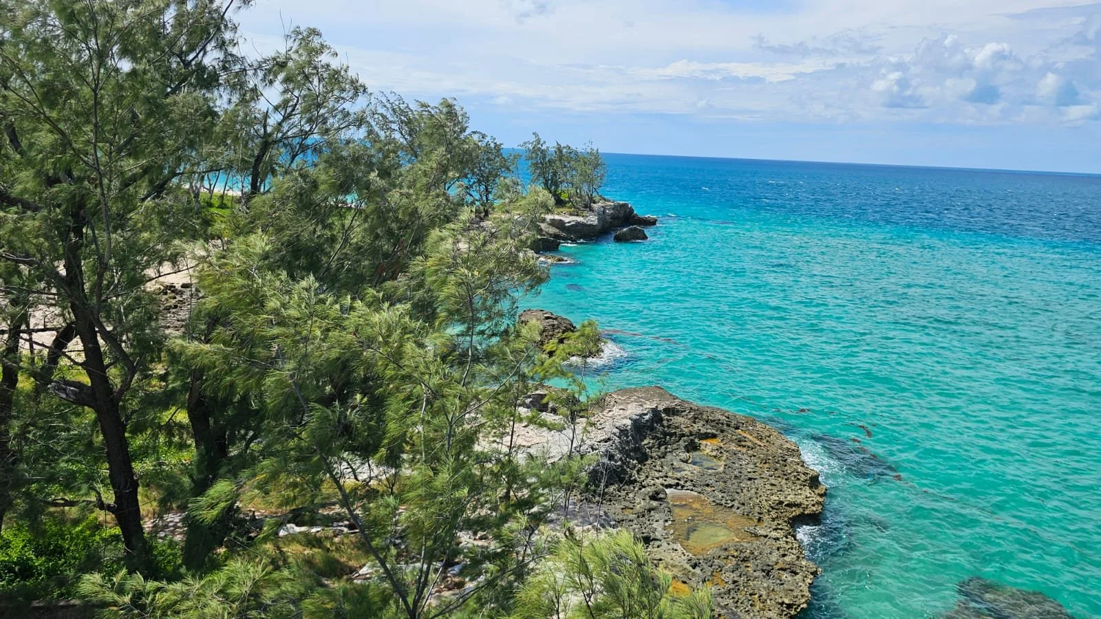 Tropical ocean coastline with green trees, rocks, and turquoise water under a partly cloudy sky.