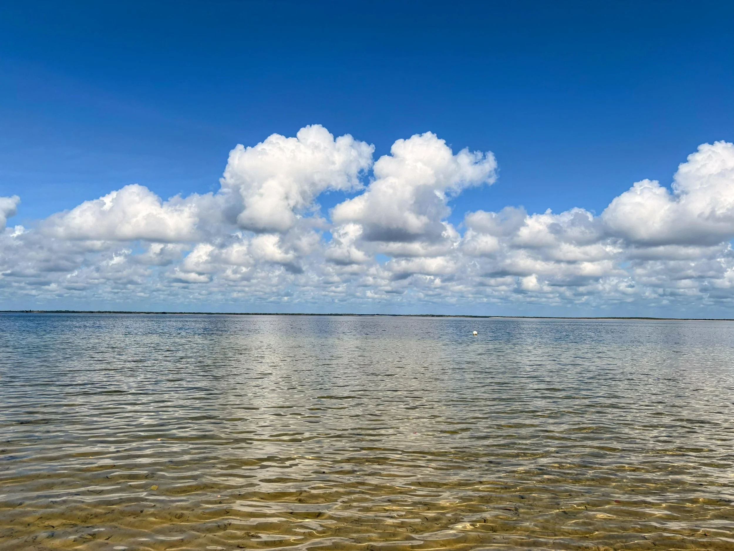 Calm body of water with ripples under a blue sky filled with white fluffy clouds.