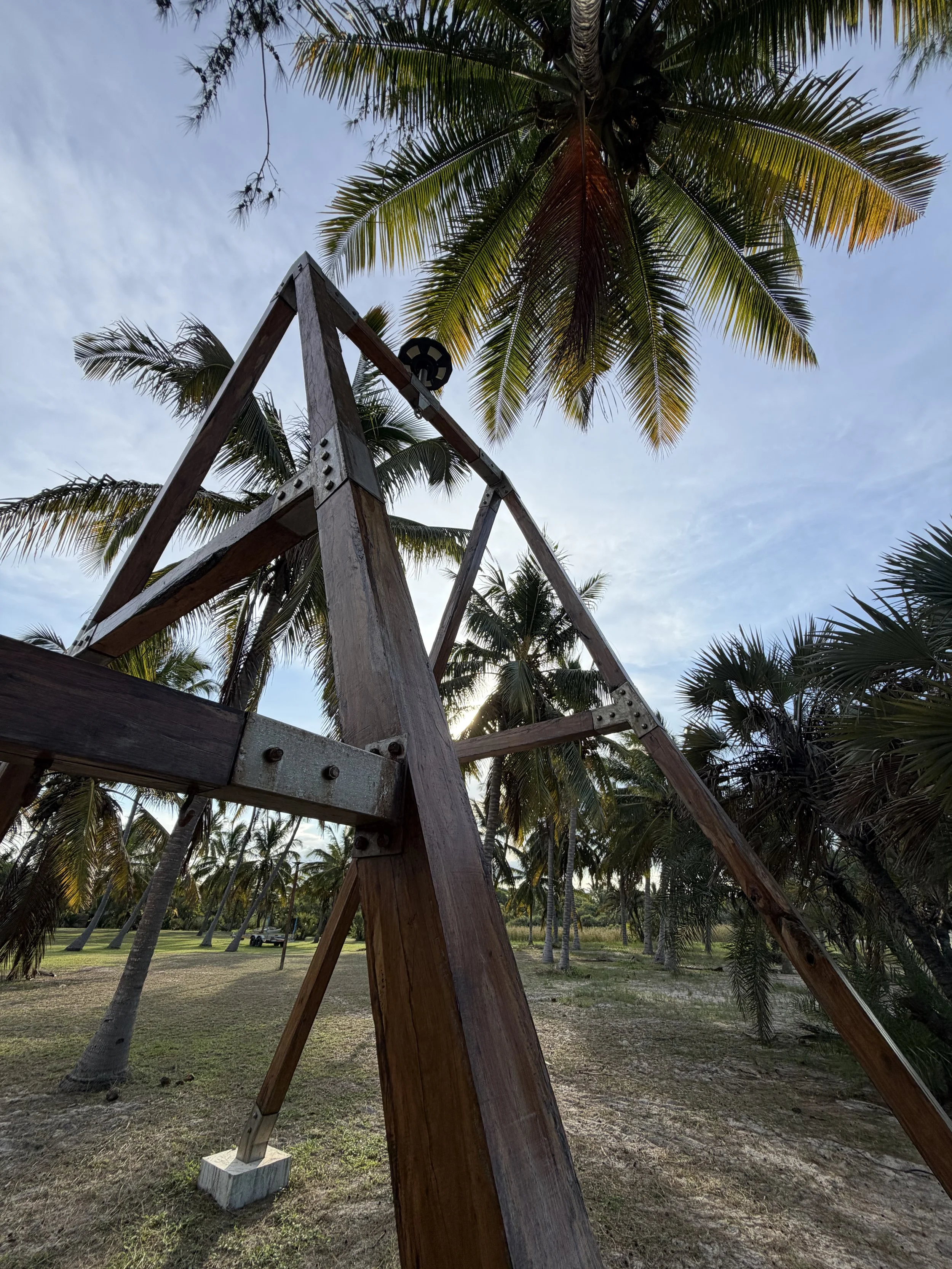 Photo of a backyard with a wooden structure, palm trees, grassy area, and a partly cloudy sky in the background.