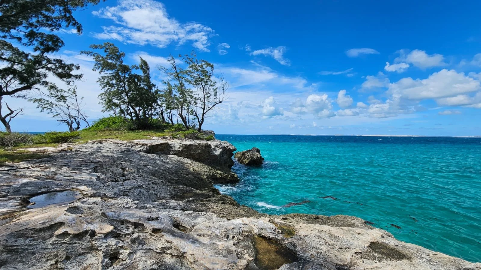 Tropical coastal scene with rocky shoreline, green trees, and turquoise ocean under a blue sky with scattered clouds.
