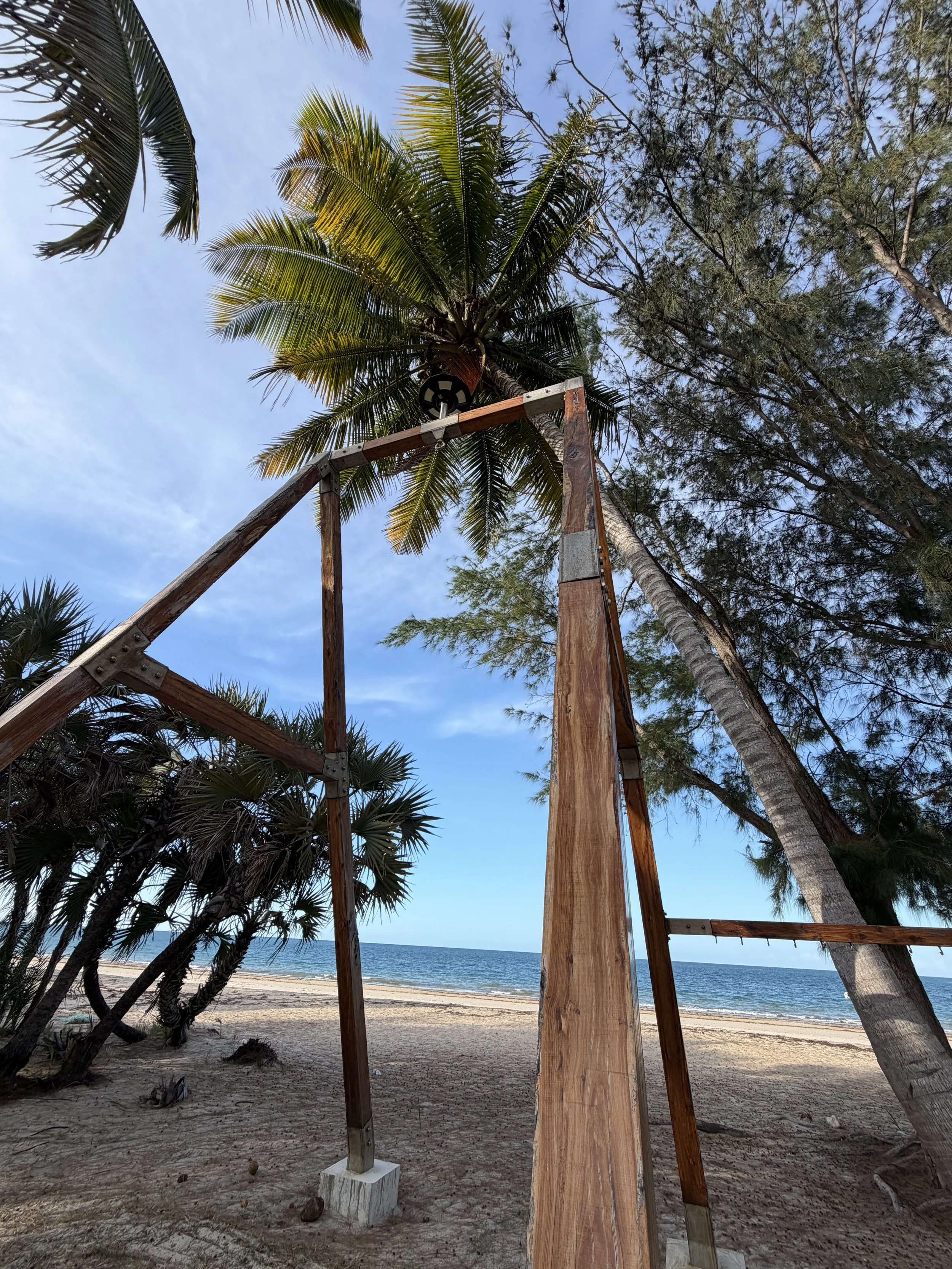 A view of a beach with palm trees, blue sky, and ocean in the background. An unfinished wooden structure is in the foreground.