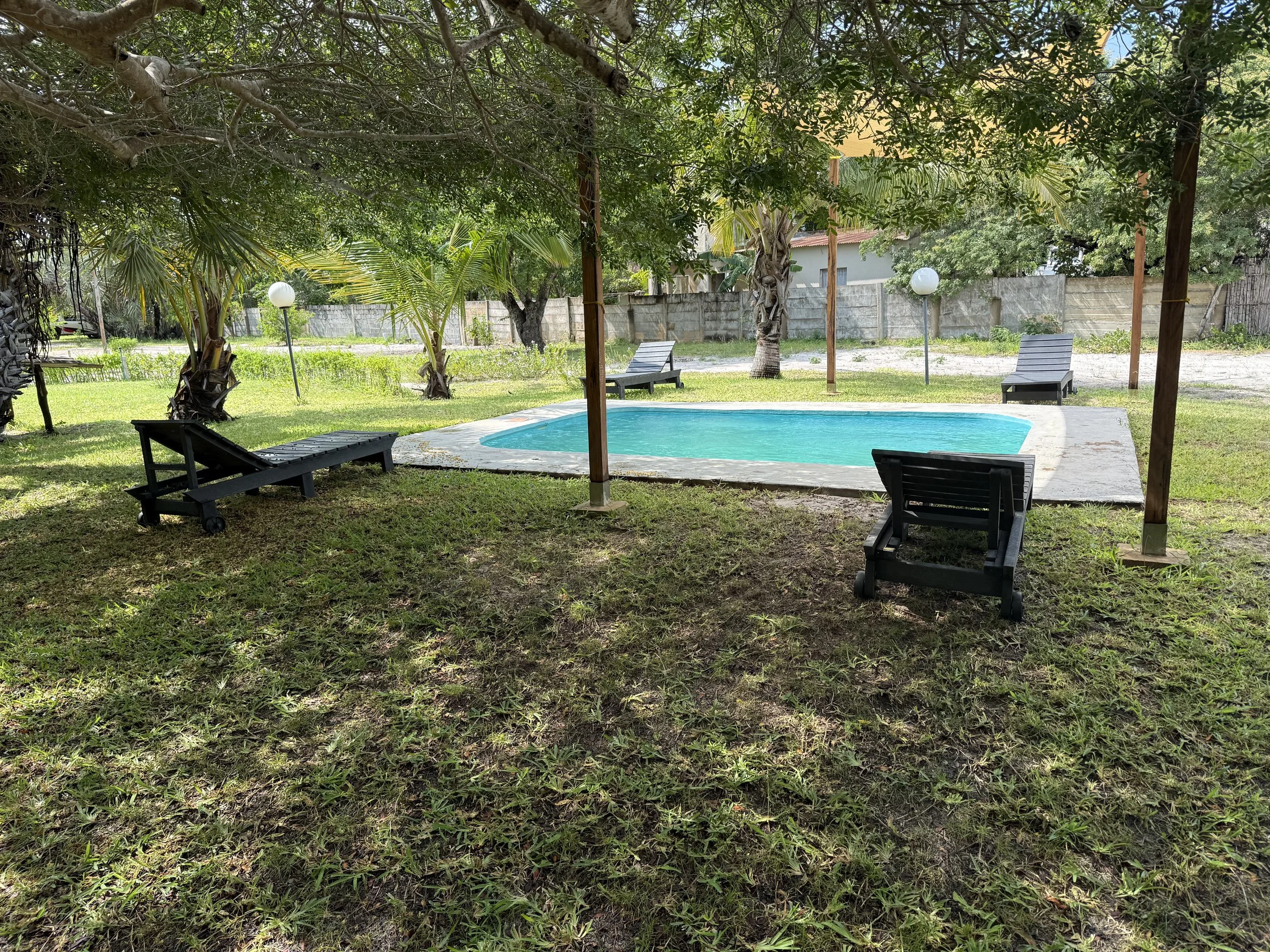 A backyard with a small swimming pool surrounded by green grass, shaded by trees, and with lounge chairs, modern street lamps, and a grey concrete fence.