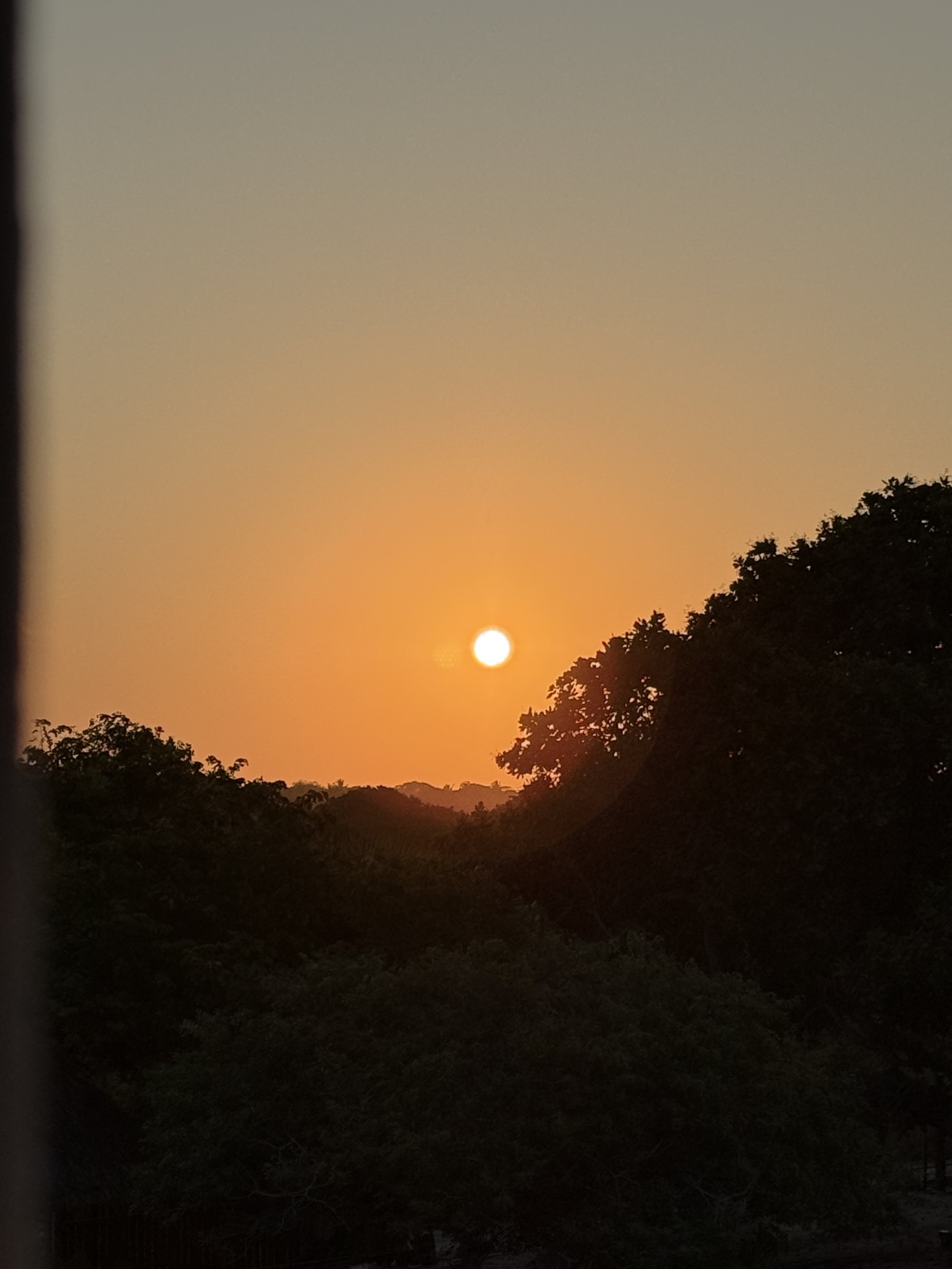 Sun setting over a silhouetted forest with a clear sky.