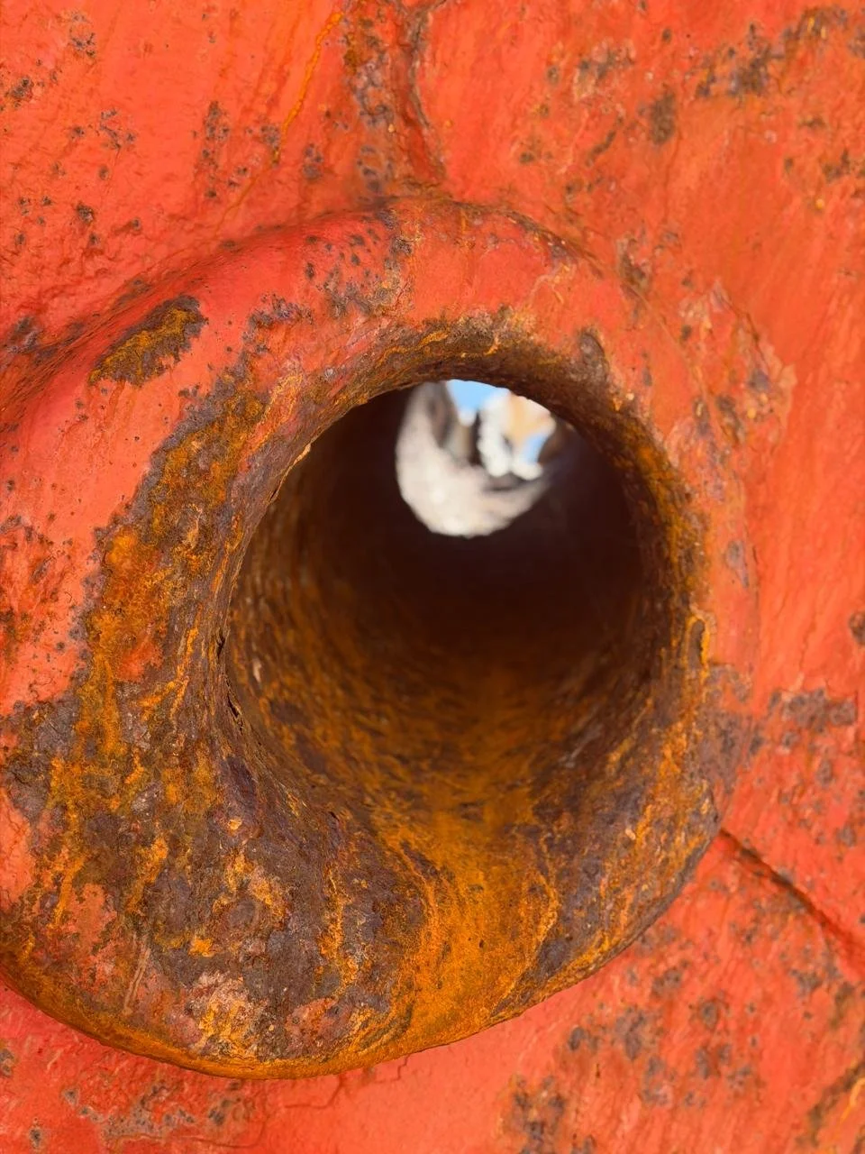 Close-up view of a rusty, orange metal pipe seen from the inside, with visible corrosion and weathering.