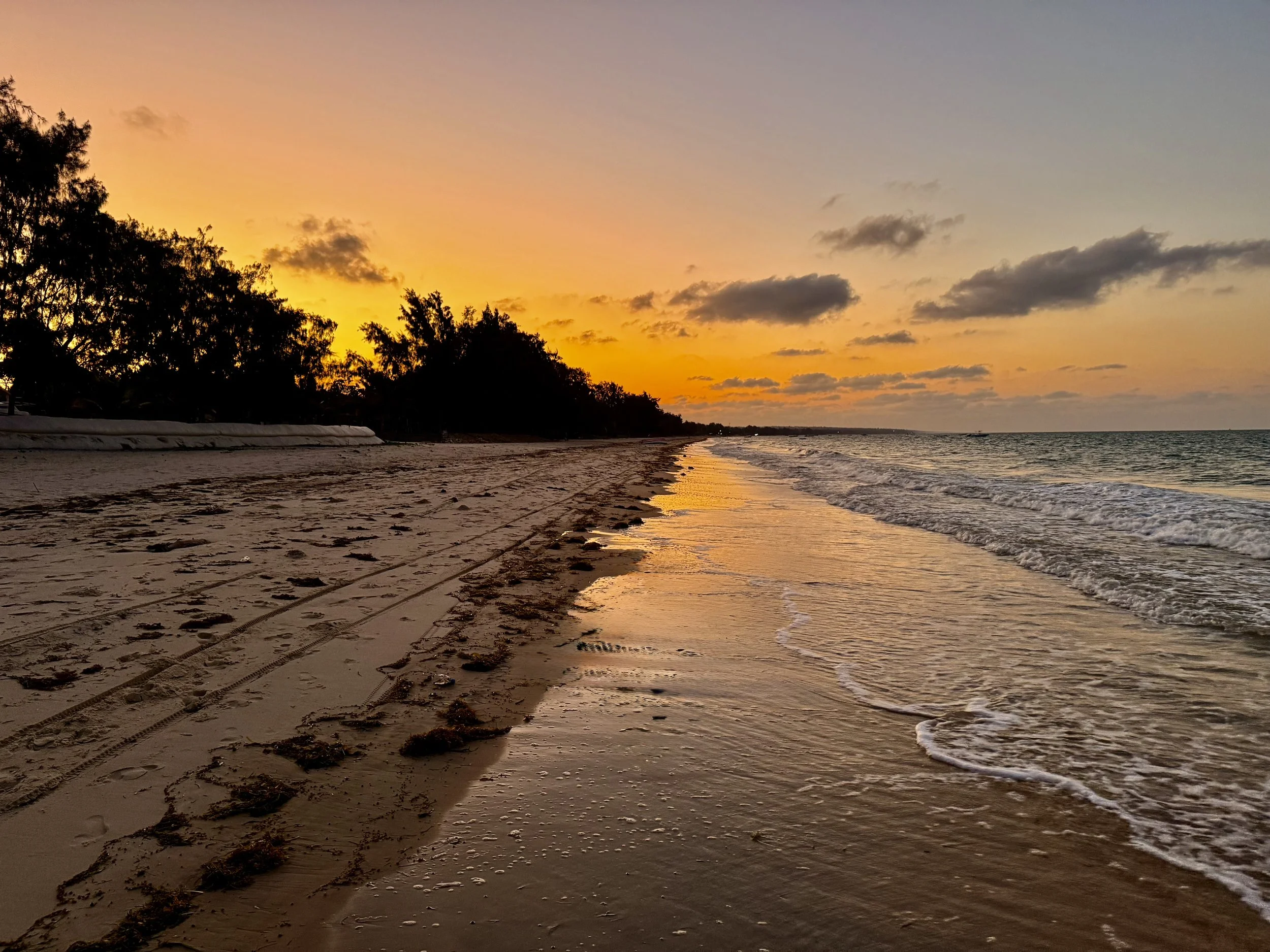 A beach at sunset with colorful sky, silhouetted trees, wet sand, and gentle waves.