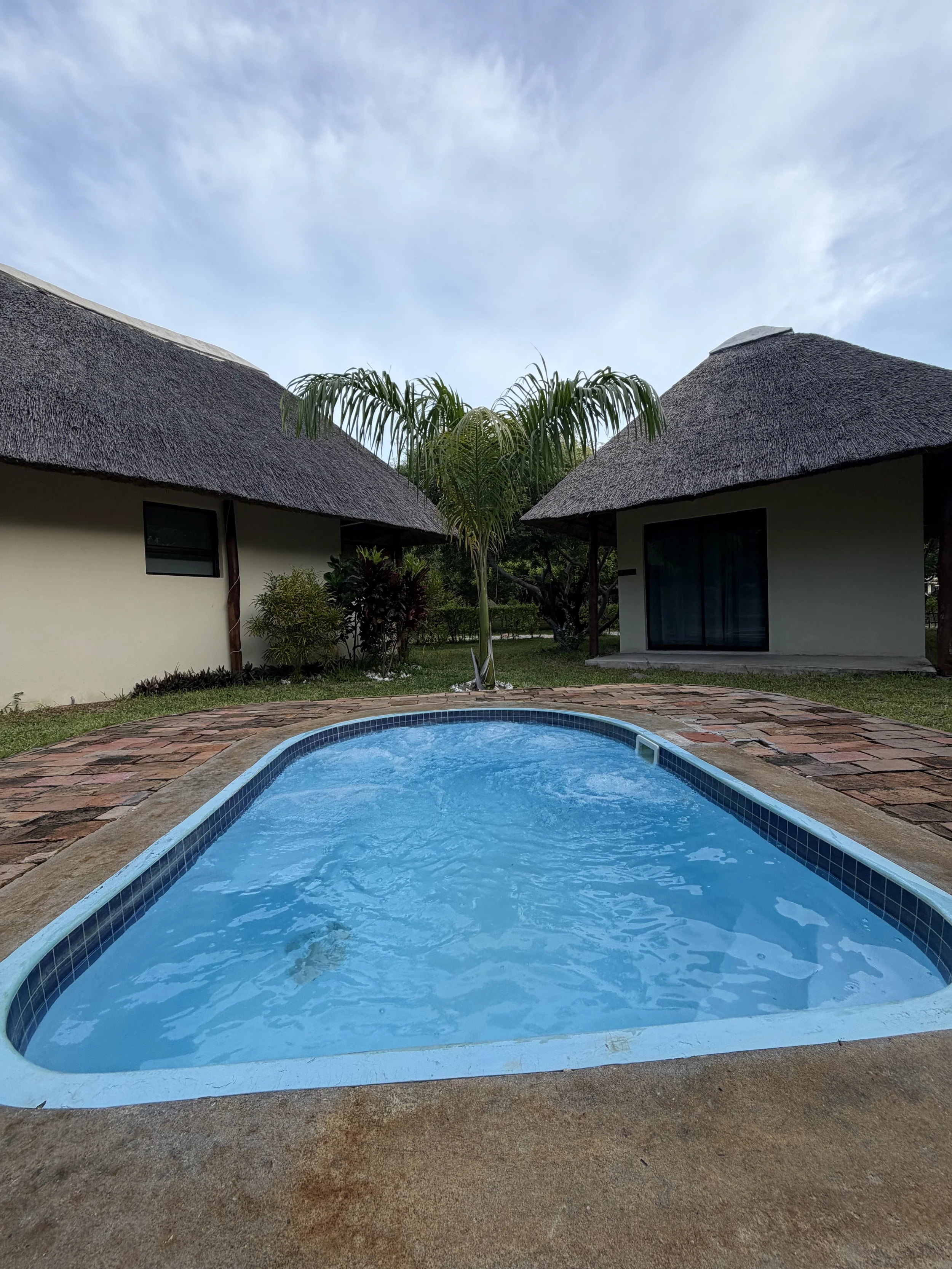 A backyard with a swimming pool, two houses with thatched roofs, and a palm tree in the center, under a blue sky with some clouds.