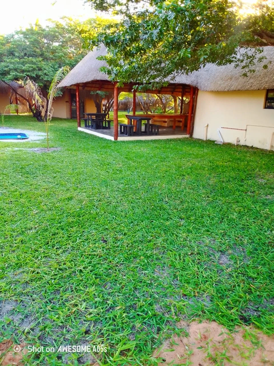 A backyard with a lush green lawn, a large tree overhead, and a thatched-roof covered patio with outdoor tables and benches. There is a small pool on the left side of the image.