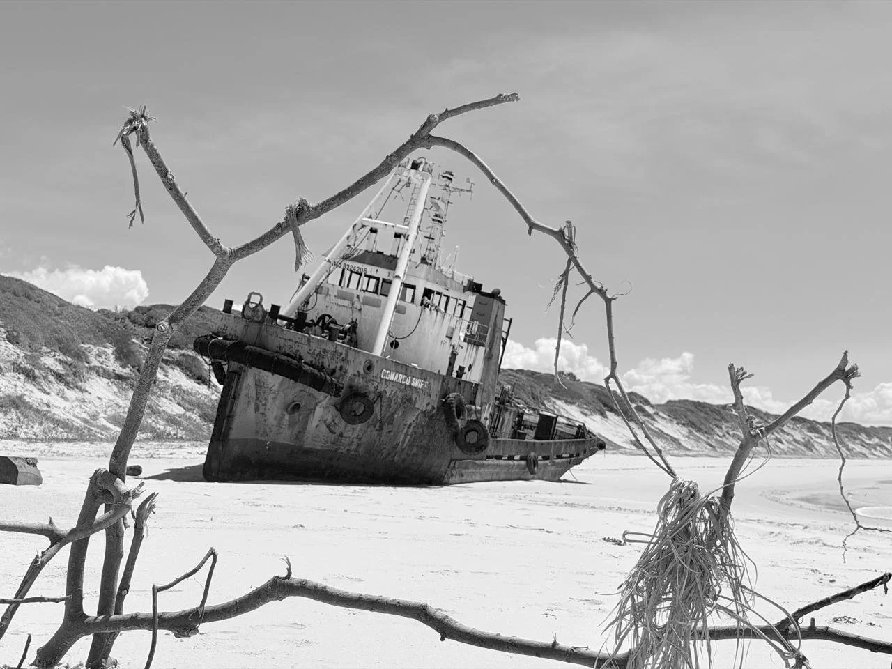 A large, rusted shipwreck on a sandy beach, with leafless branches in the foreground and hills in the background.