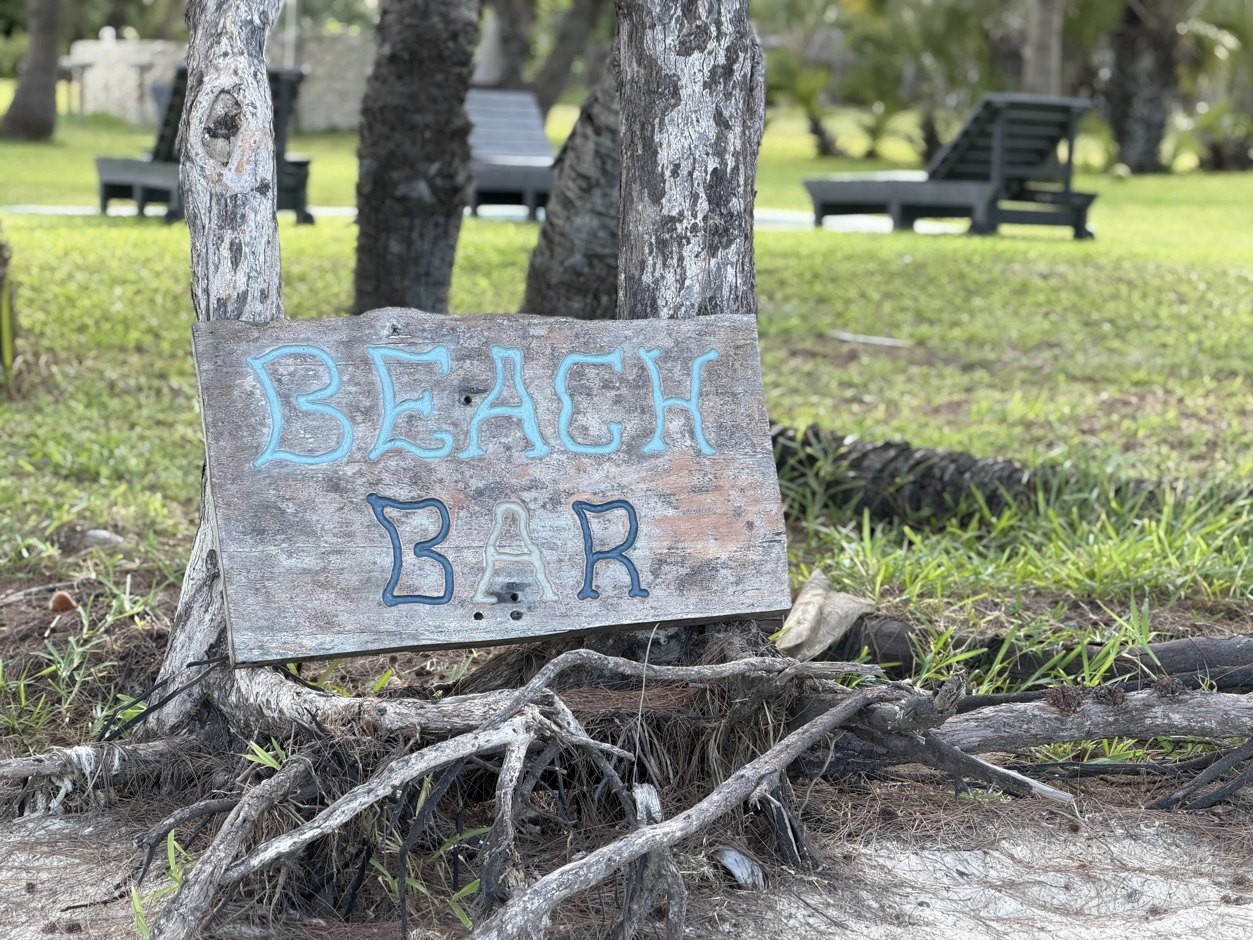 A wooden sign with the word 'BEACH' painted in blue, leaning against tree roots on a grassy area with benches and trees in the background.