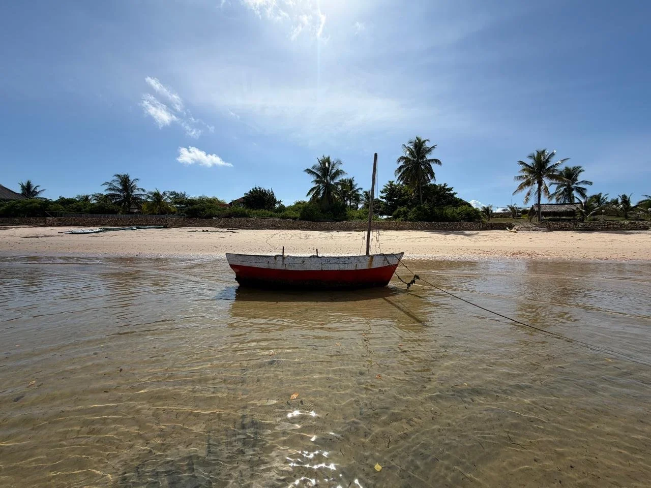 A small boat anchored in shallow water near a sandy beach with palm trees and a clear blue sky in the background.