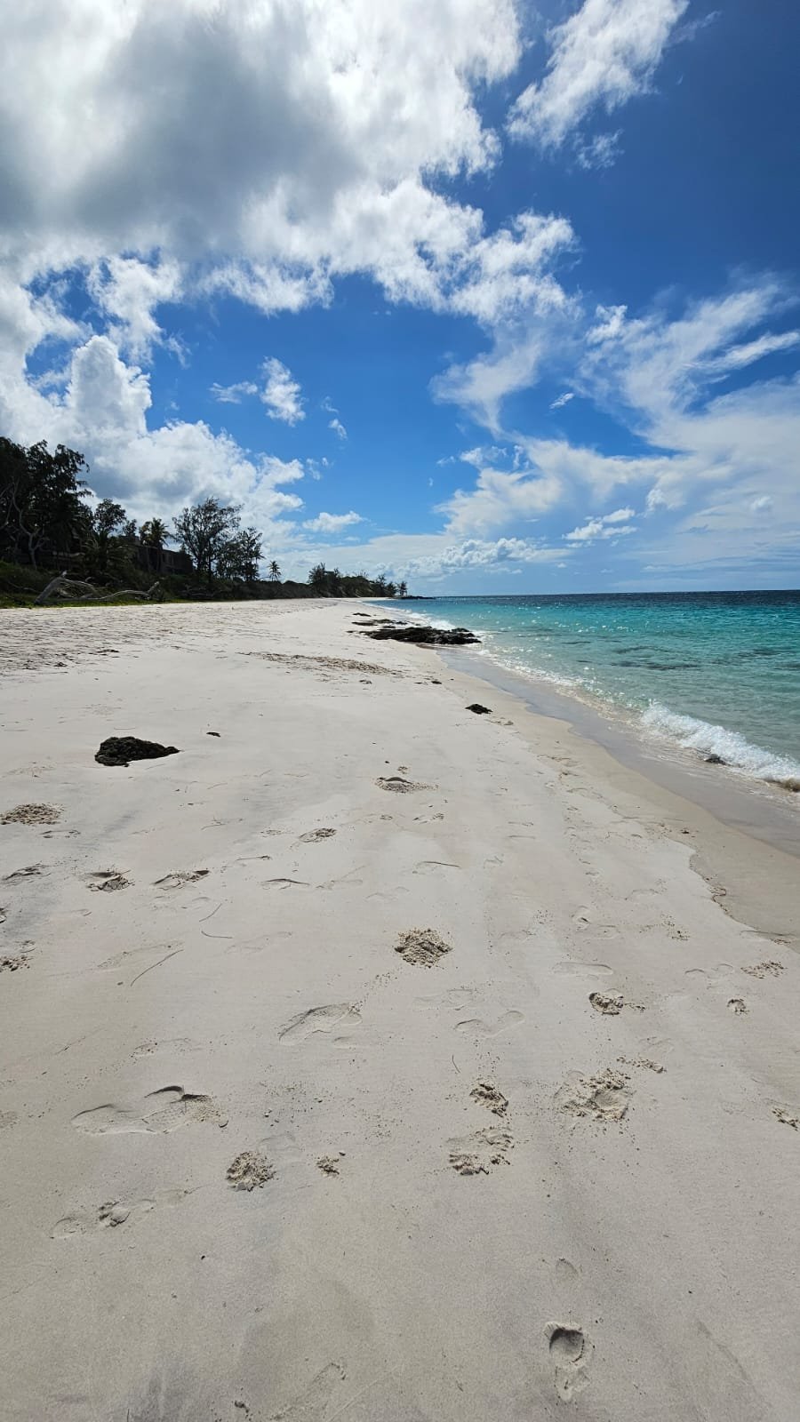 Empty sandy beach with footprints, rocks, palm trees, and a blue sky with clouds over the ocean.