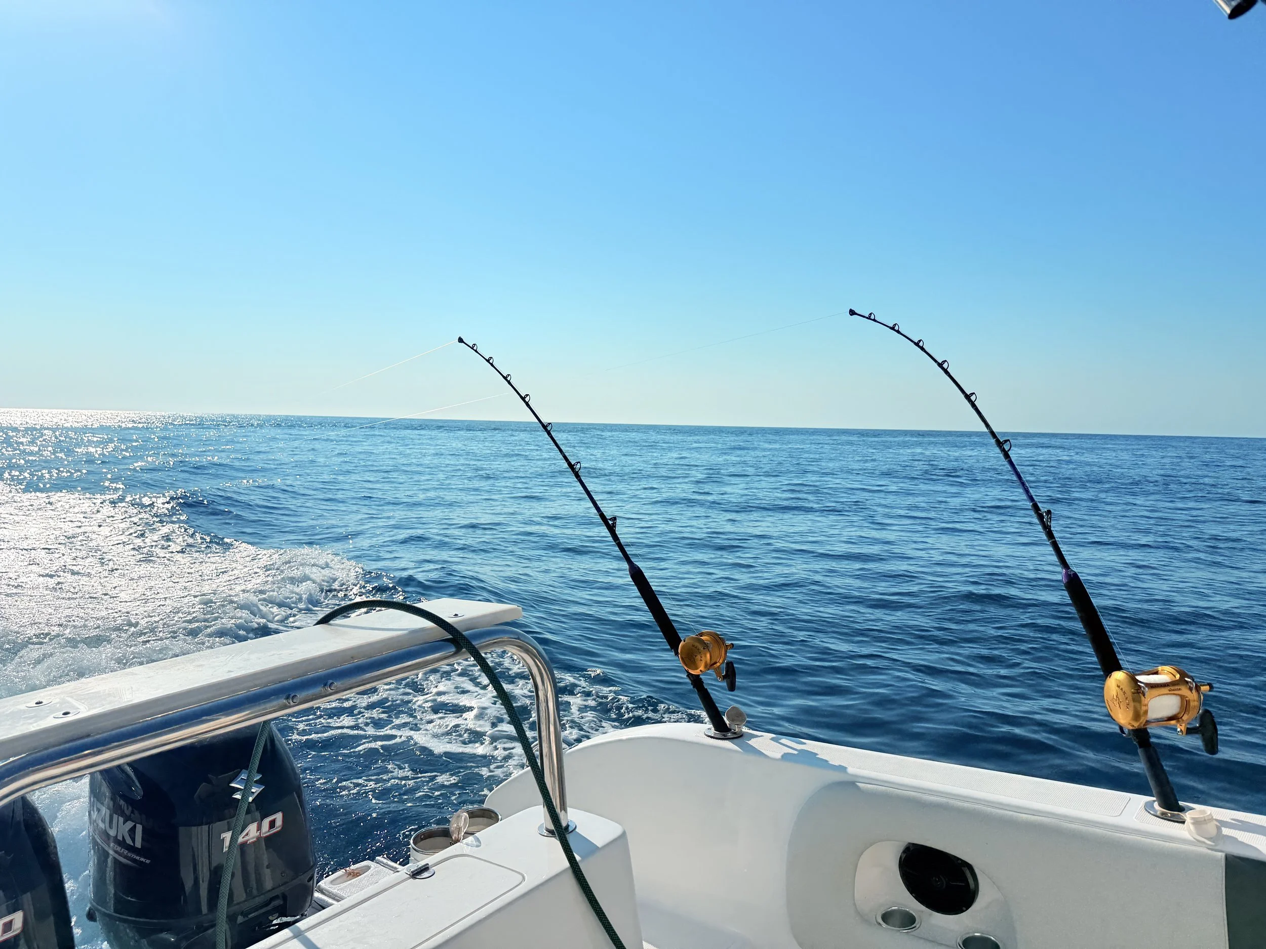 View from a boat with two fishing rods extended over the open water, with a clear blue sky and calm ocean in the background.